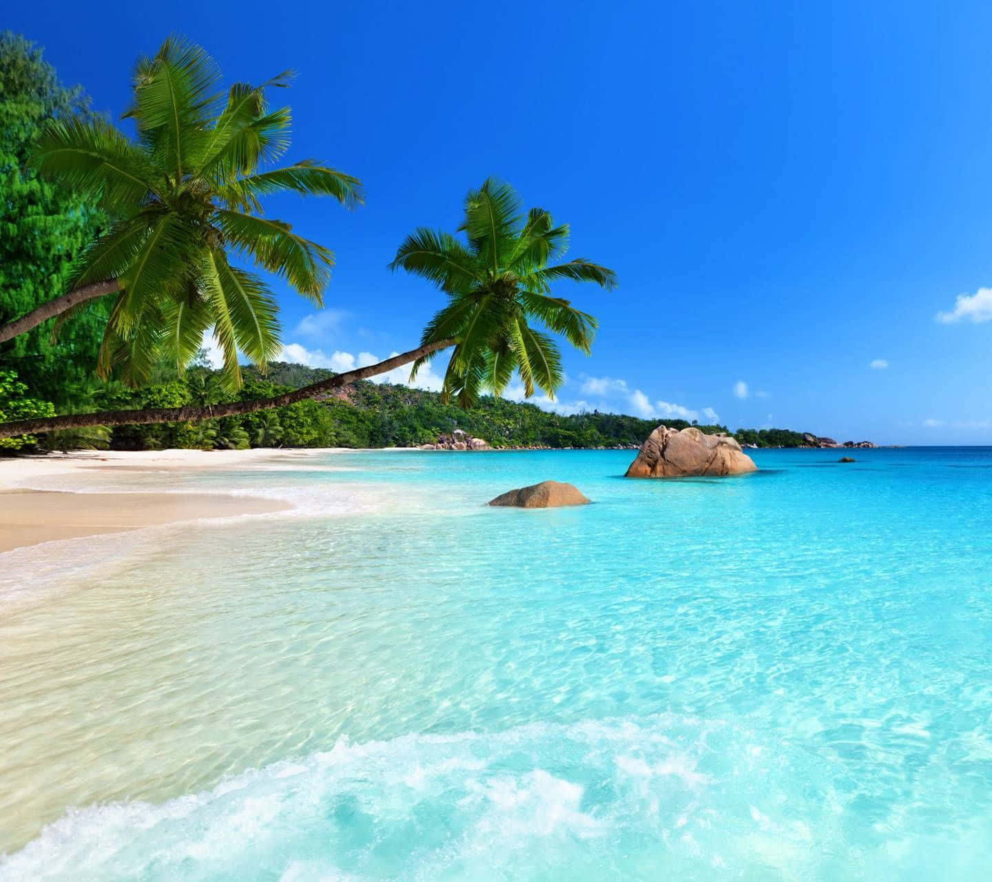 Tropical Beach Scene Clear Blue Waters Wallpaper