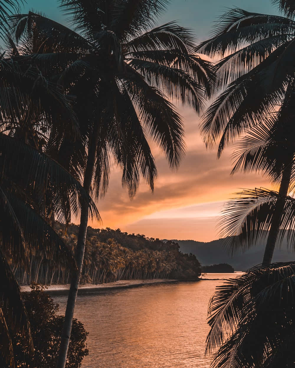 Tropical Sunset Aesthetic Wallpaper