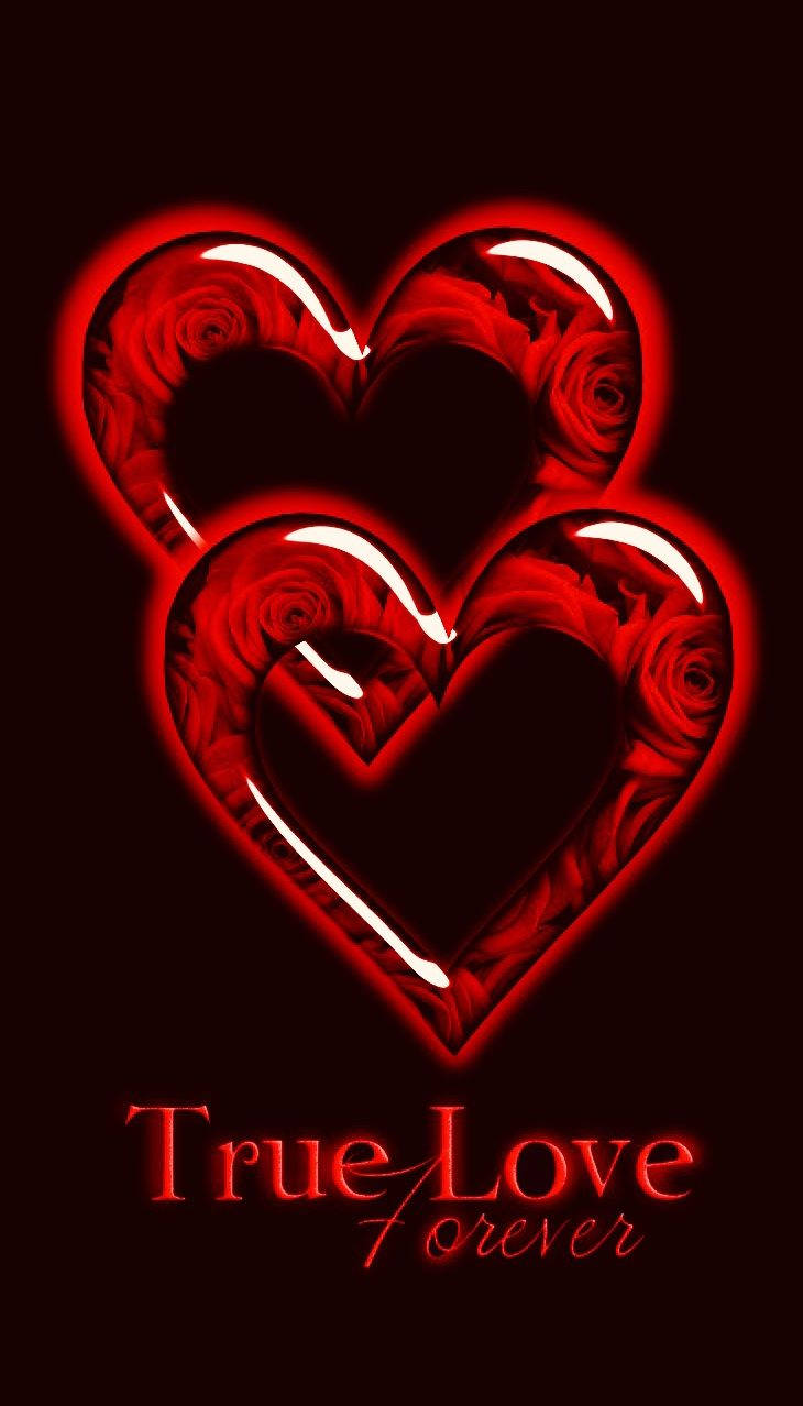 True Love Double Heart Wallpaper
