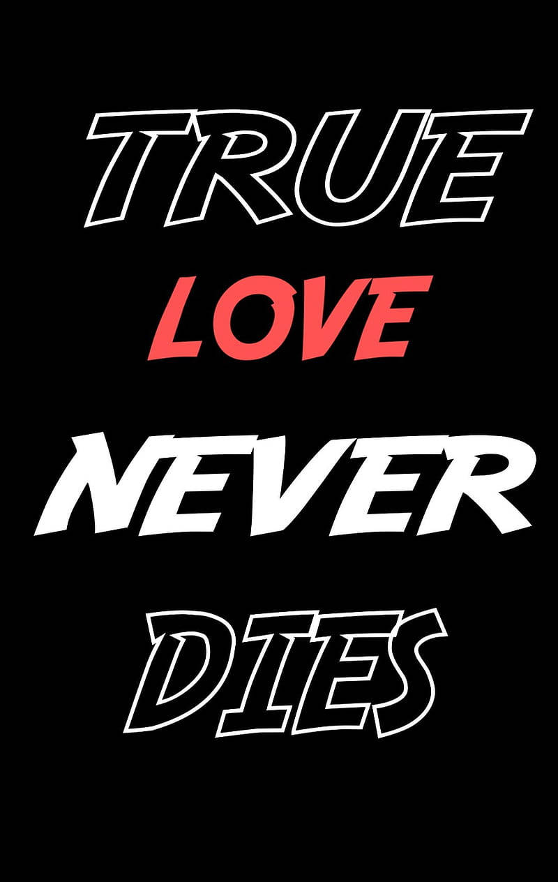 True Love Quote Wallpaper