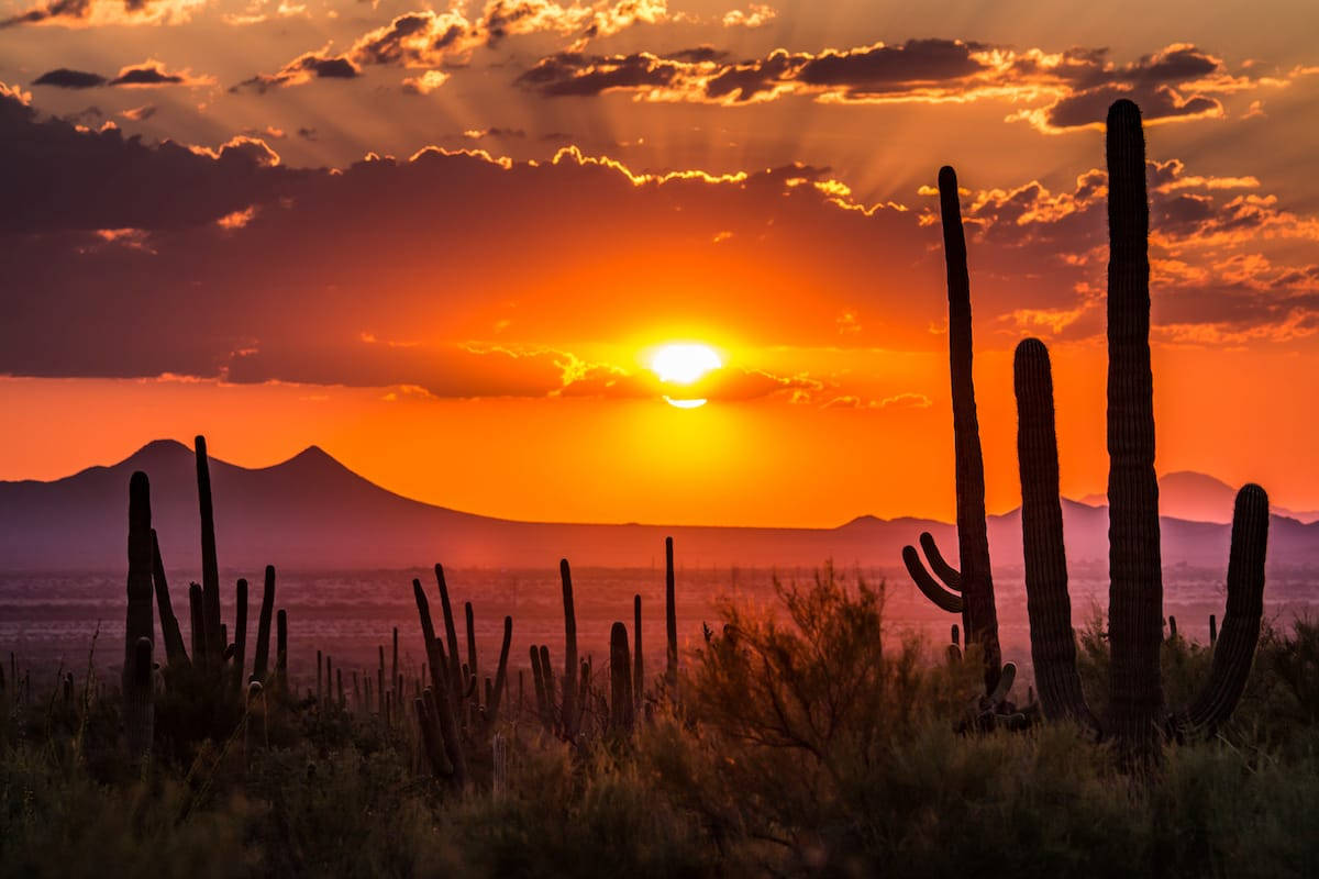 Tucson Orange Sunset Wallpaper