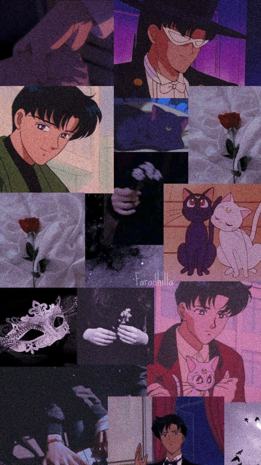 Tuxedo Mask - Ready To Save The Day Wallpaper