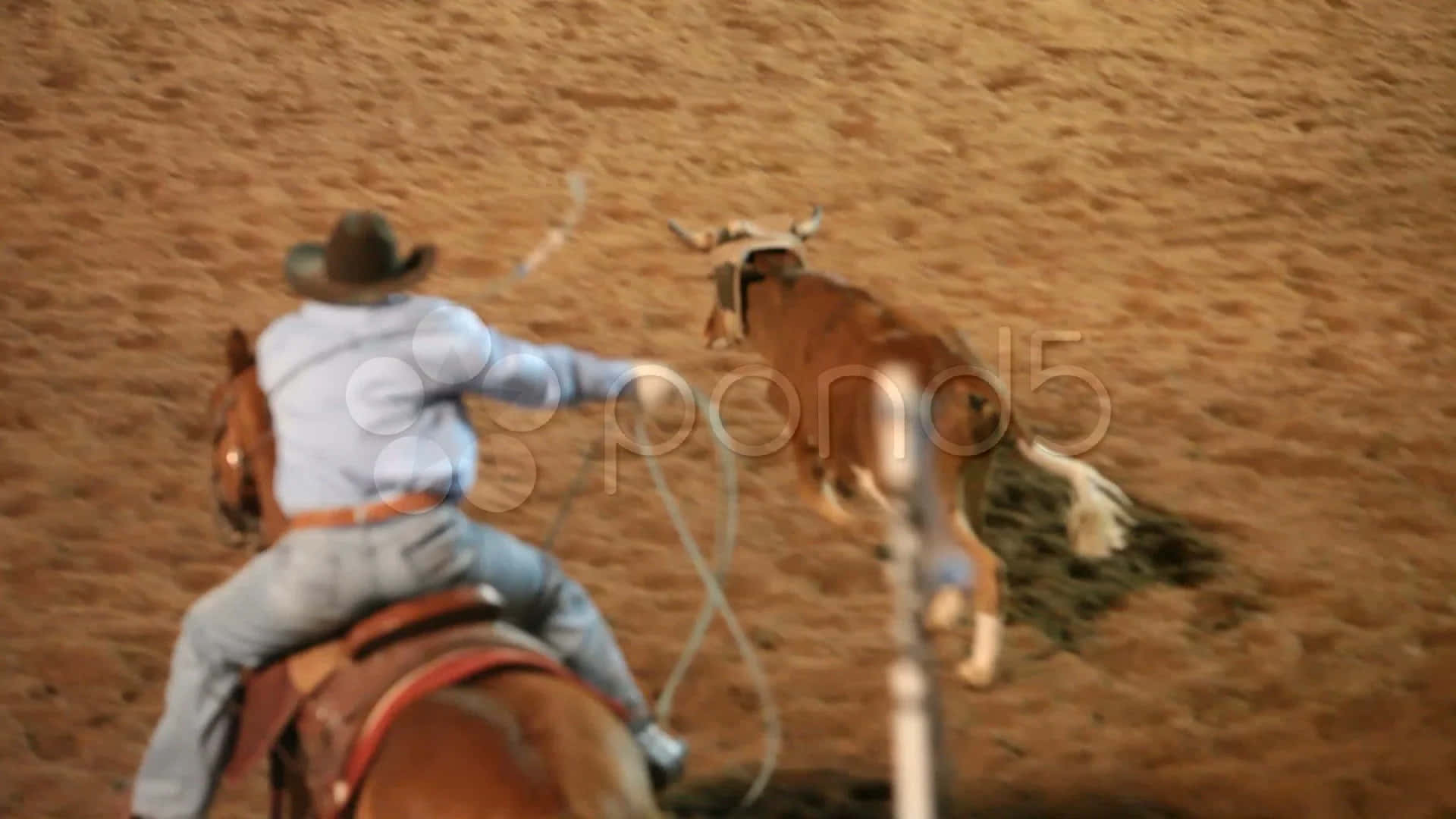 Two Cowboys Engaged In The Thrilling Sport Of Team Roping Wallpaper