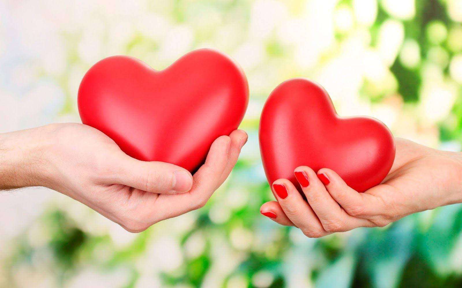 Two Hands Heart Love Full Hd Wallpaper