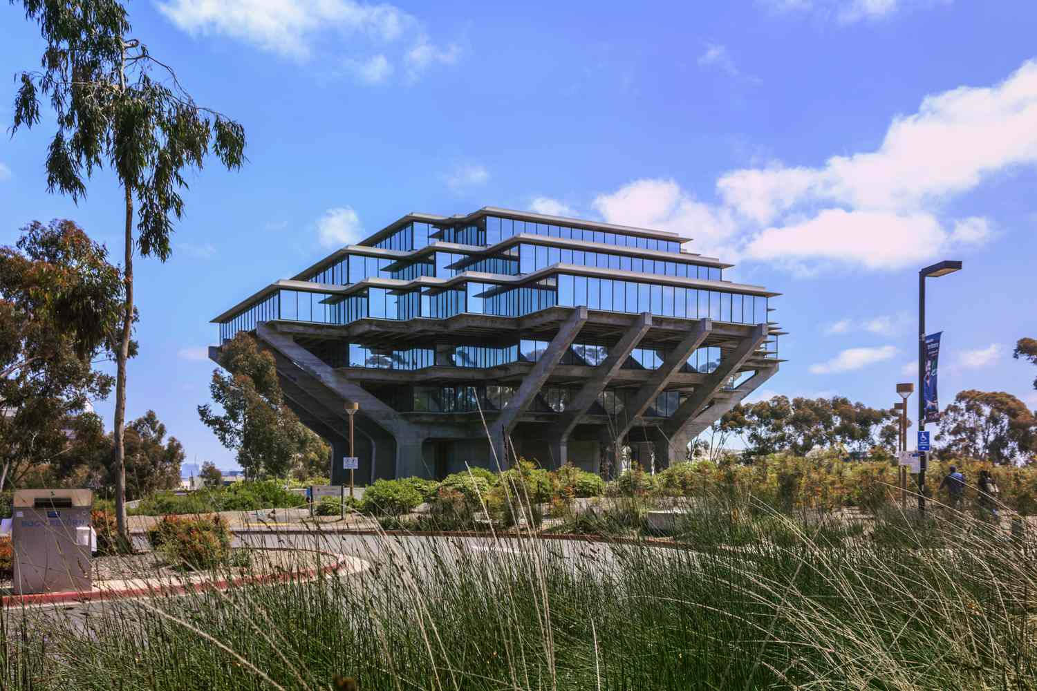 Ucsd Field Library Wallpaper