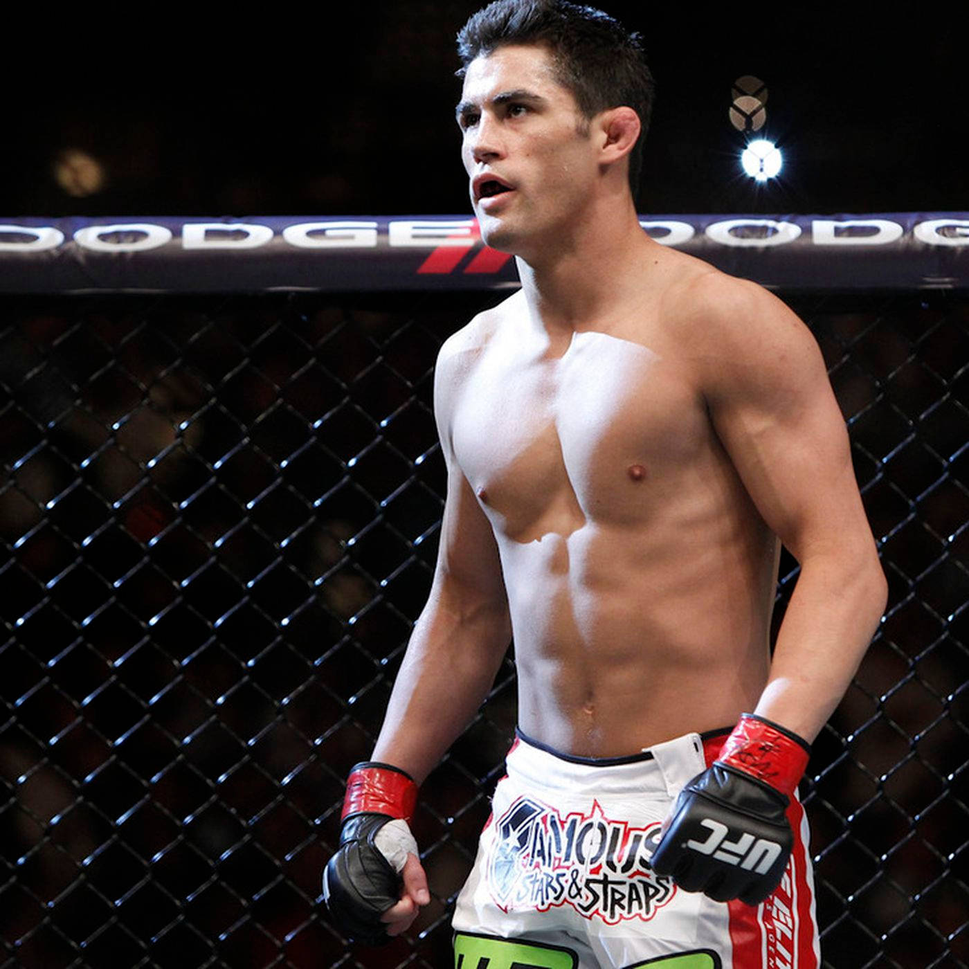 Ufc Athlete Dominick Cruz Wallpaper