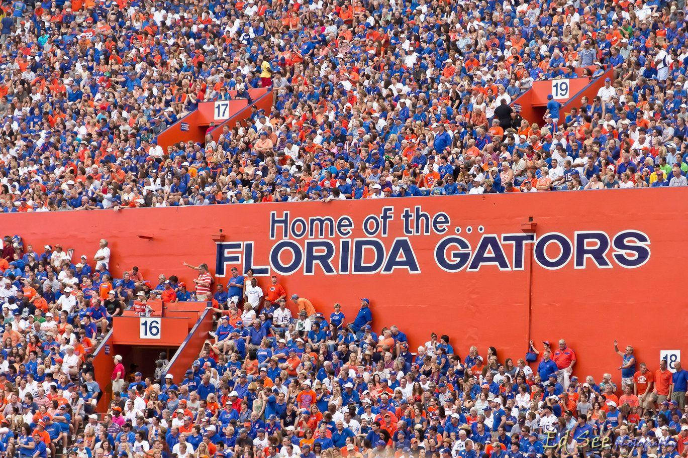 University Of Florida Gators Stadium Wallpaper