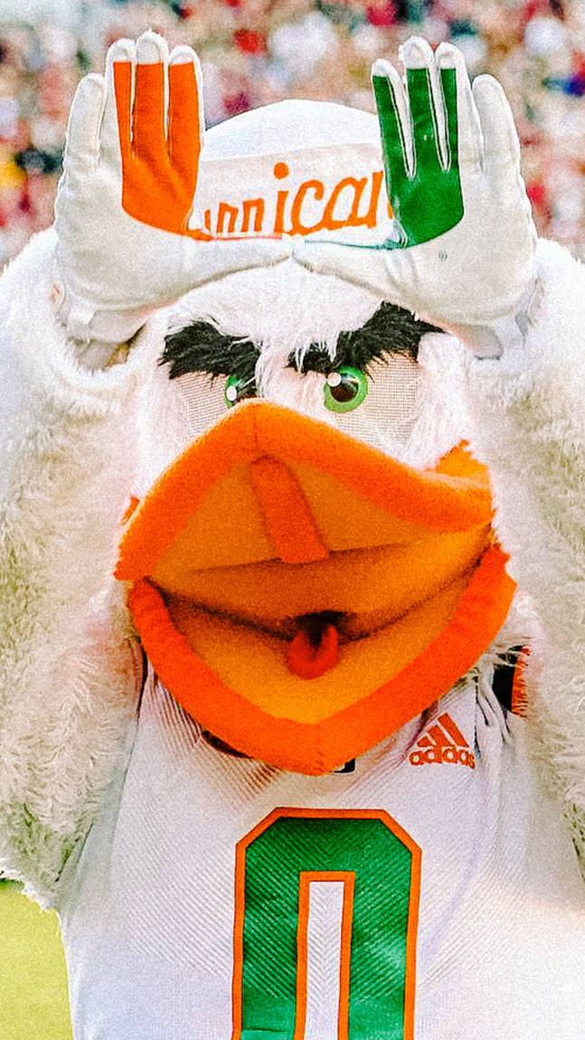 University Of Miami Mascot Making U Wallpaper