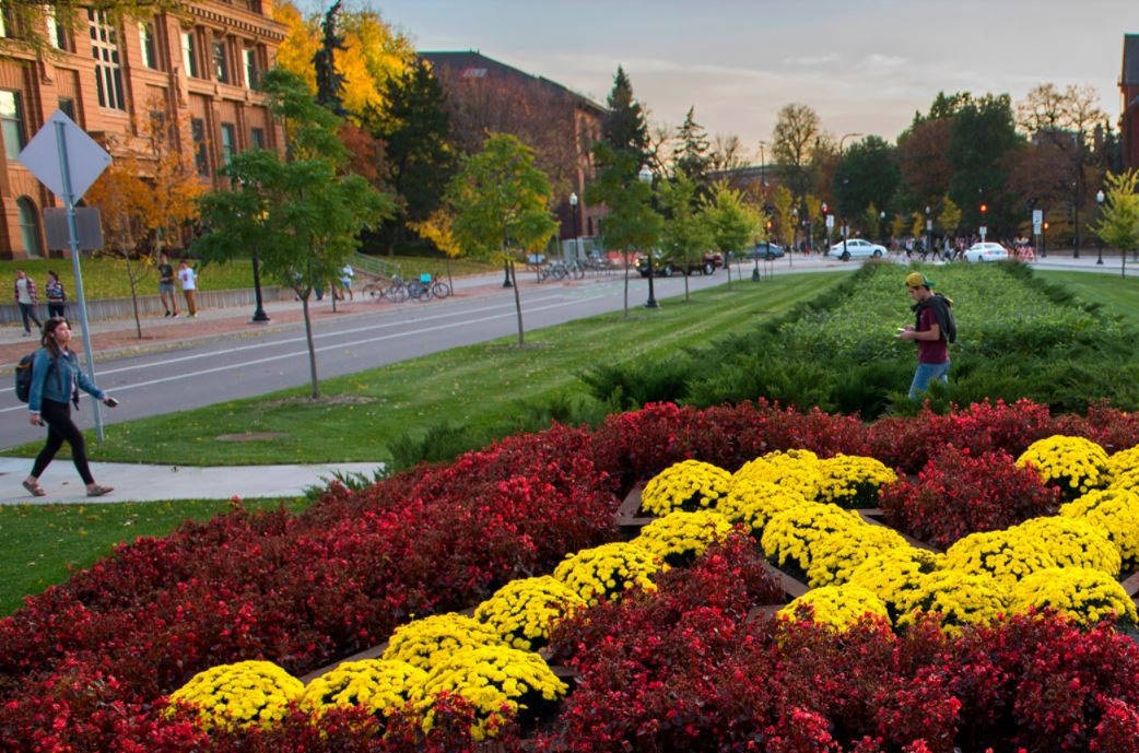 University Of Minnesota Logo In Garden Wallpaper