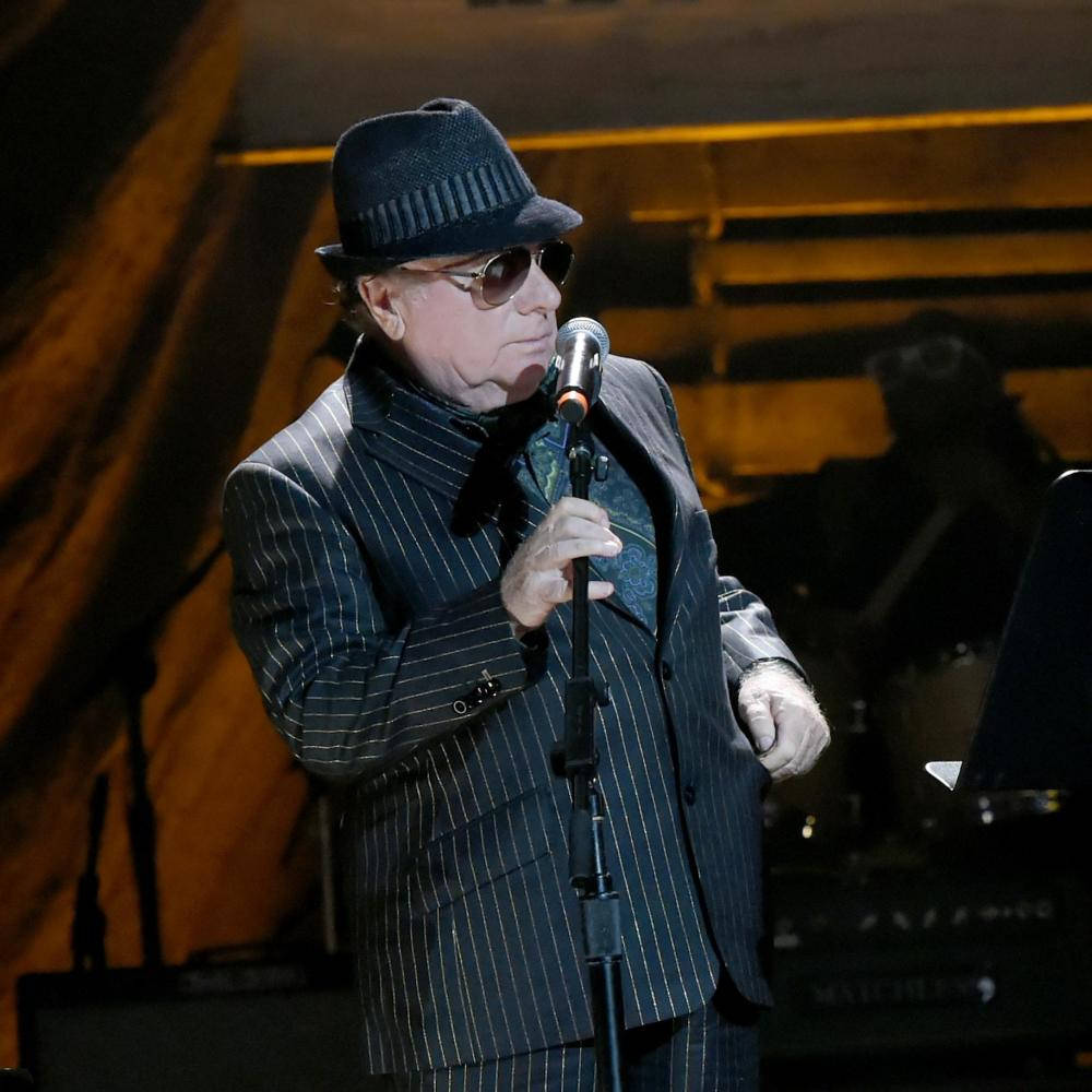 Van Morrison Northern Irish Artist Wallpaper