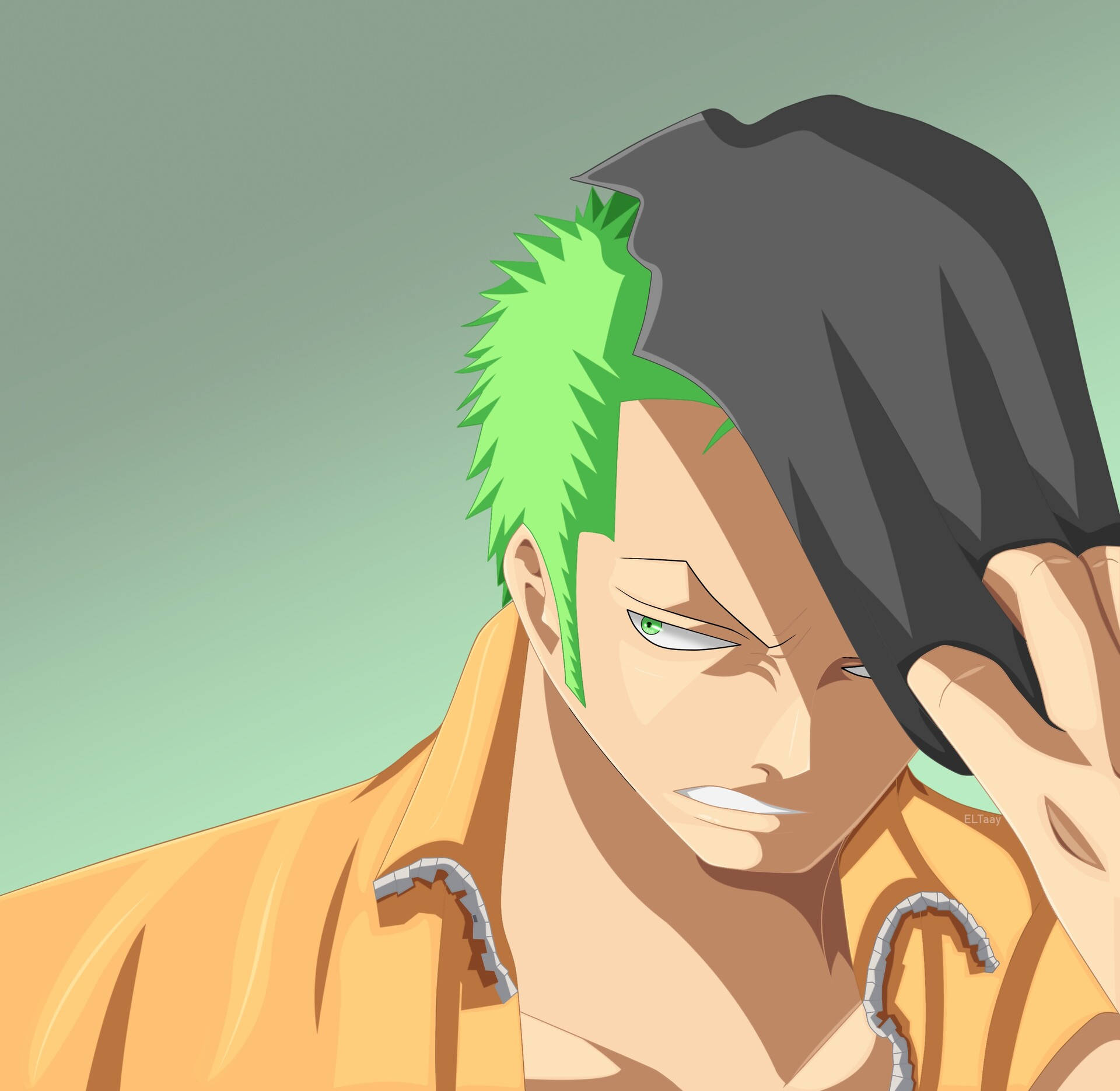 Vector Art Anime Roronoa Zoro Pfp Wallpaper