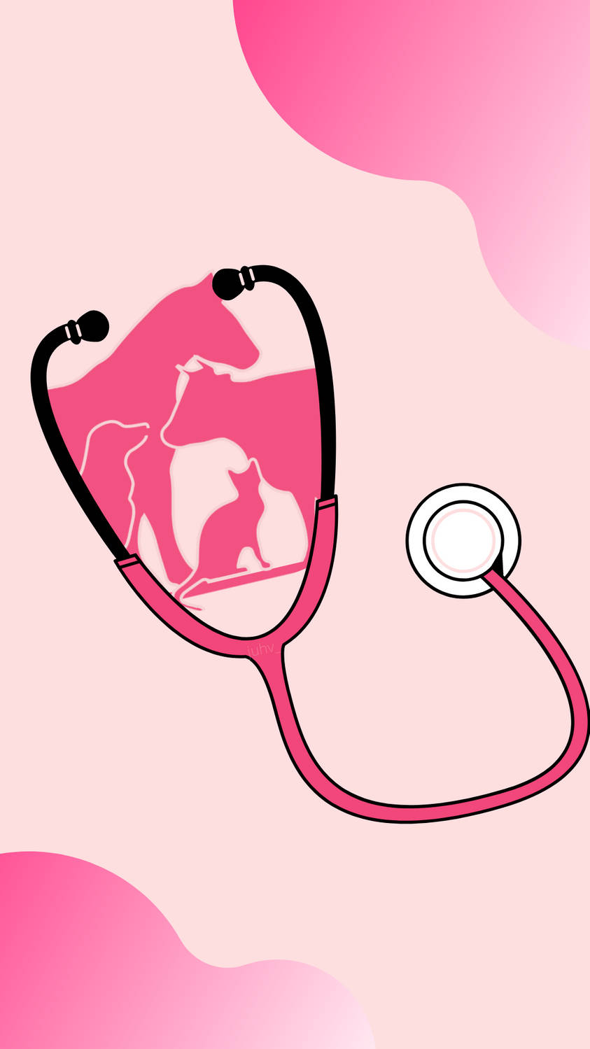 Veterinarian's Stethoscope Of Animals Wallpaper