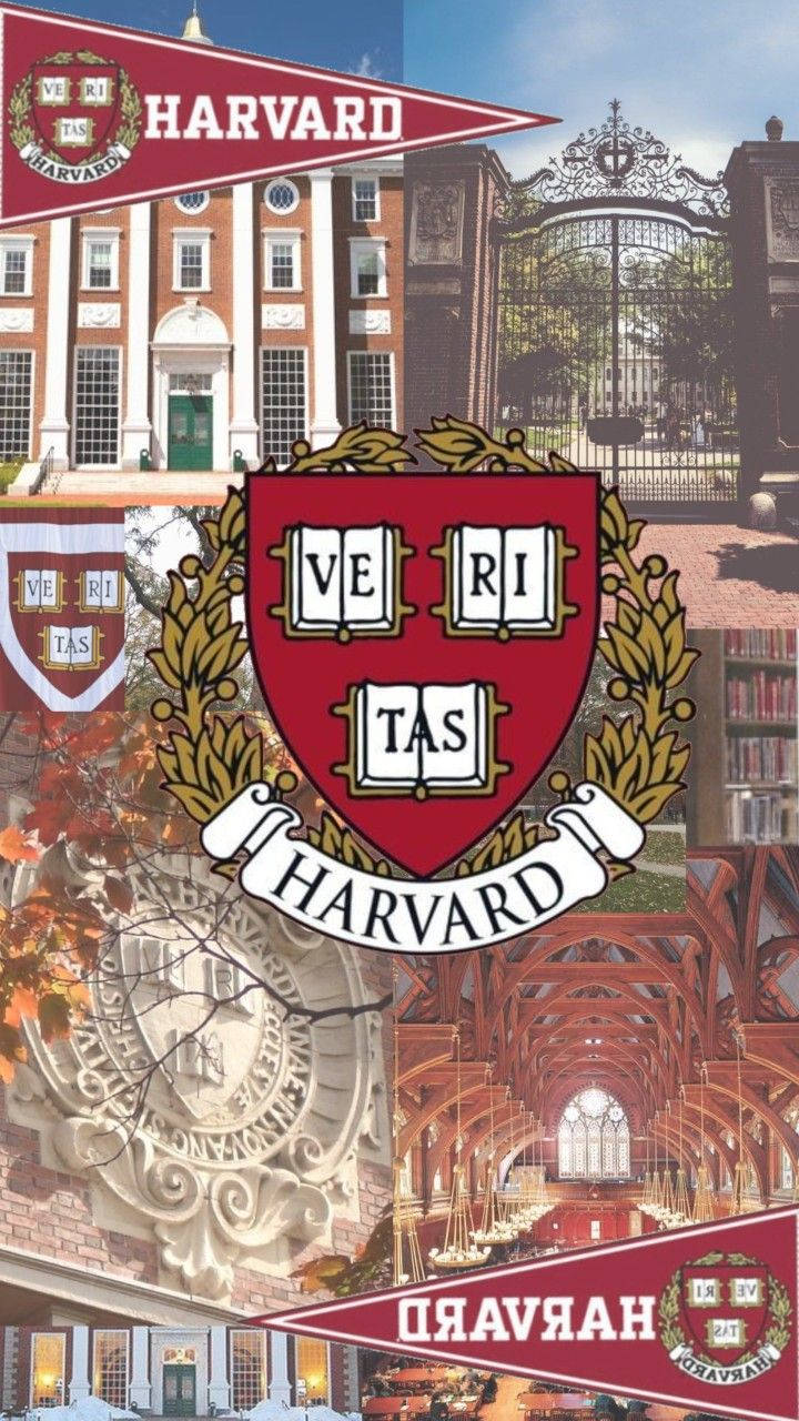 Vibrant Collage Of Harvard University's Unique Features. Wallpaper