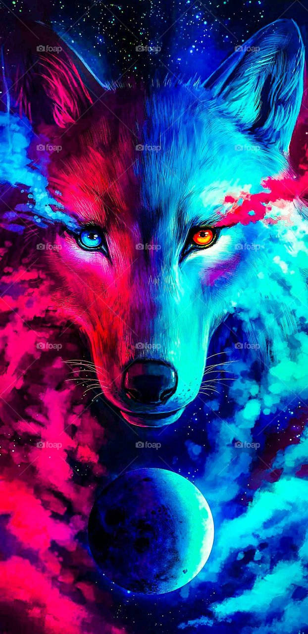 Vibrant Colorful Wolf Hd Phone Wallpaper