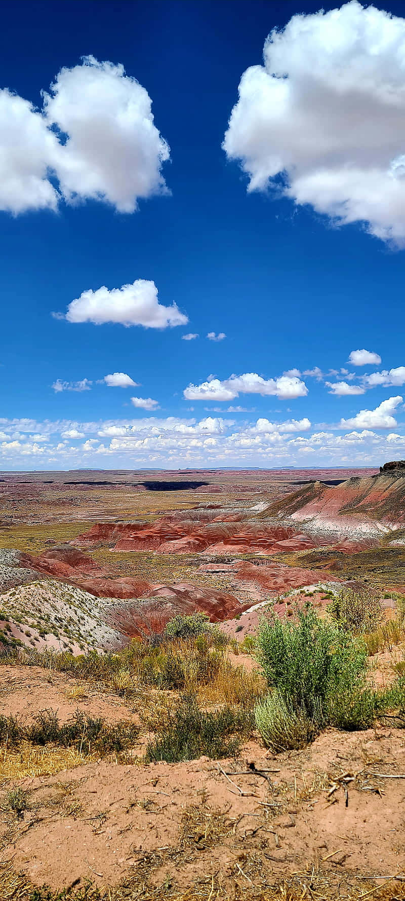 Vibrant_ Desert_ Landscape Wallpaper