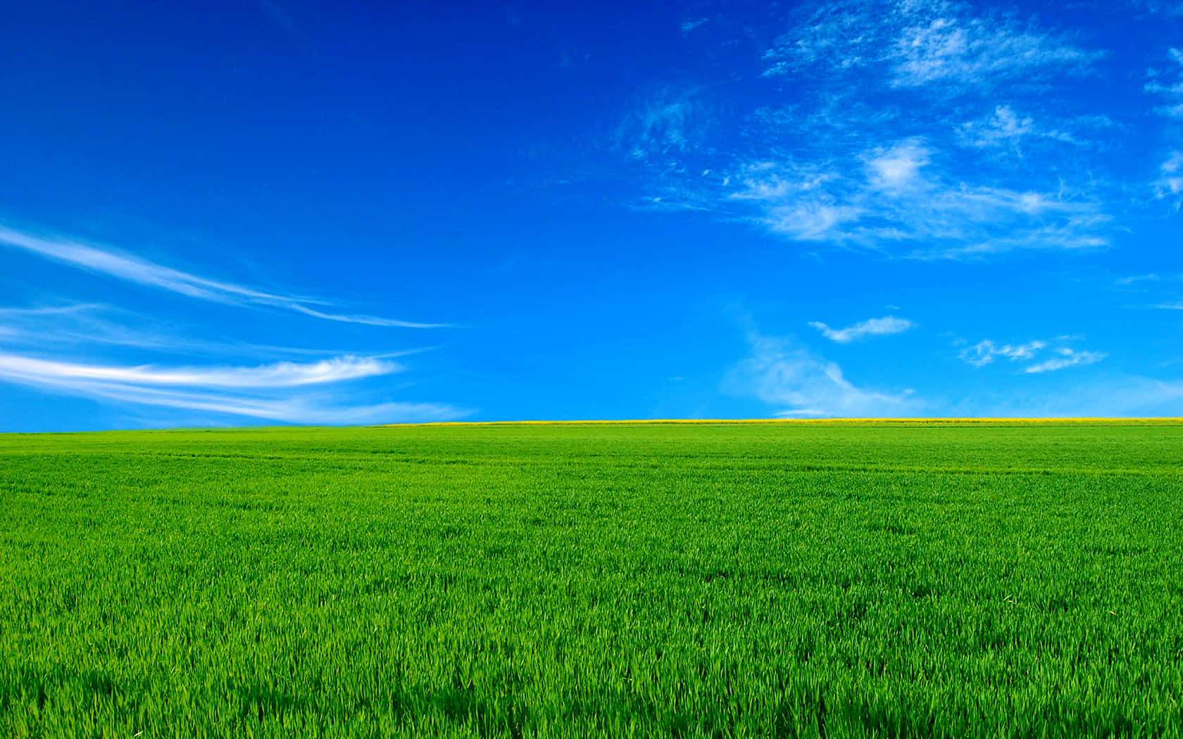 Vibrant Green Field Blue Sky Wallpaper