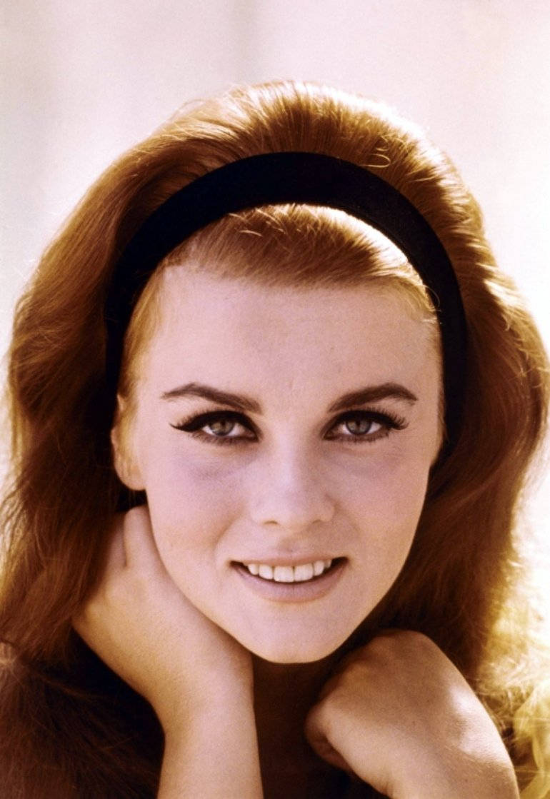 Vintage 1966 Portrait Of Iconic Actress Ann Margret. Wallpaper