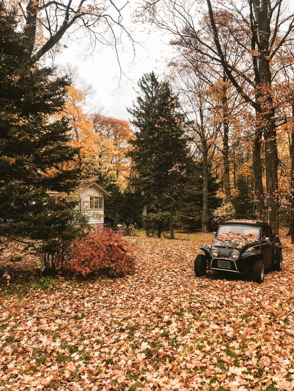 Vintage Autumn Black Car Parked Wallpaper