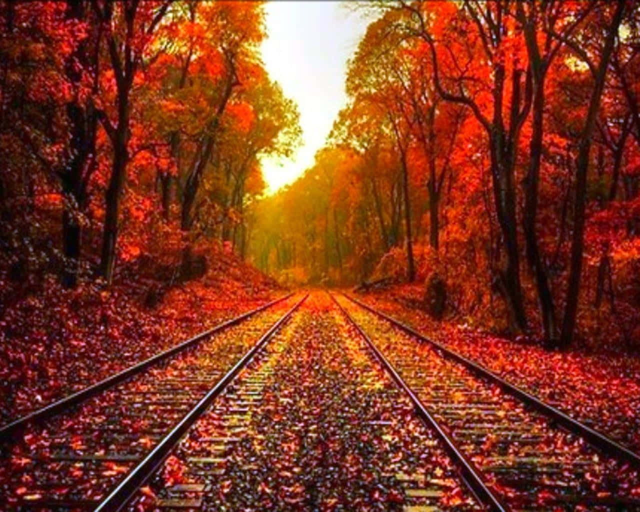 Vintage Autumn Train Tracks Wallpaper