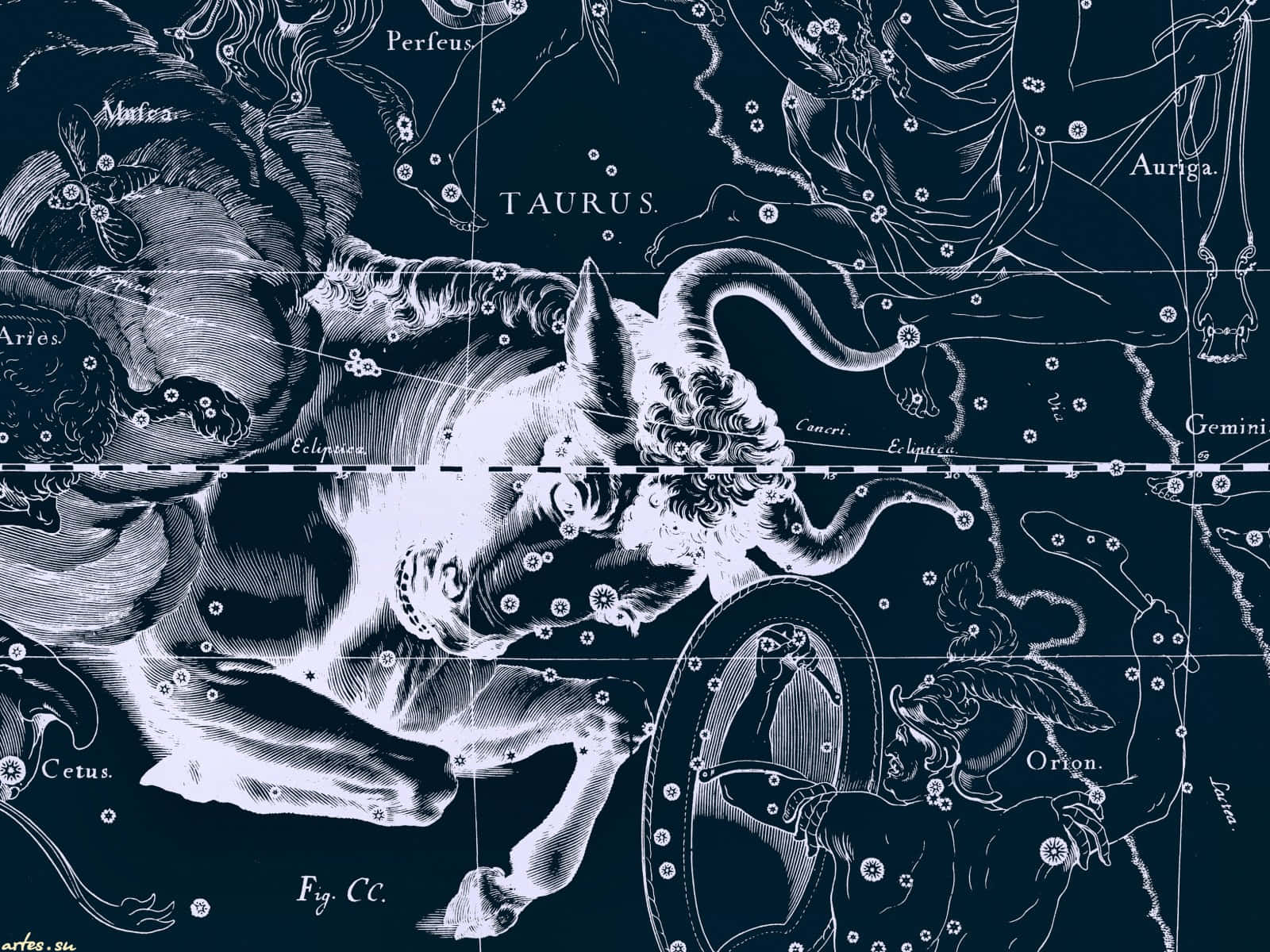 Vintage Zodiac Constellations Art Wallpaper