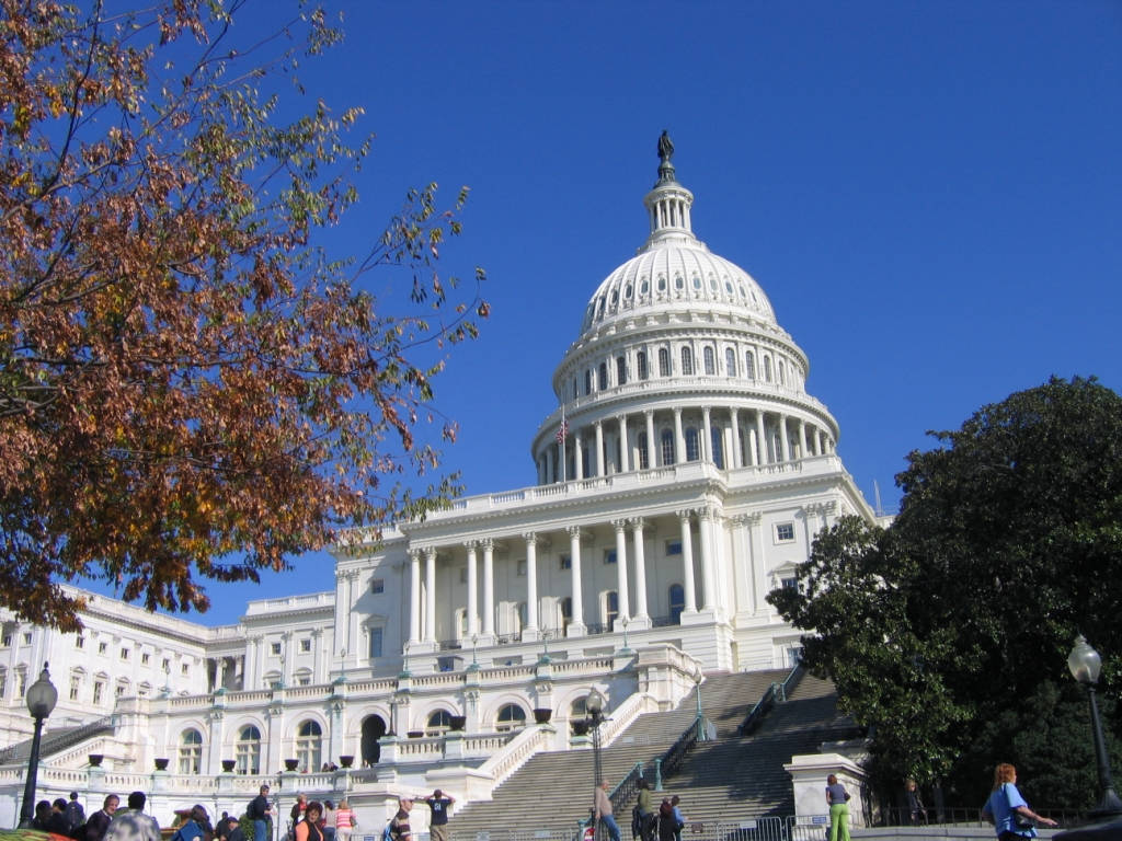 Visitors Explored The Majestic Capitol Hill Wallpaper