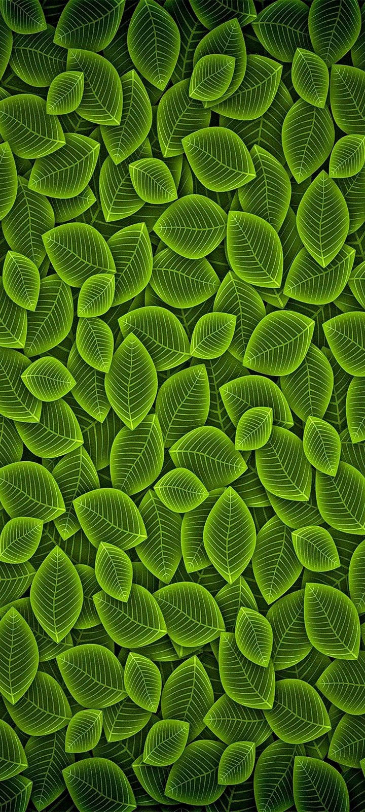 Vivo Y20 Green Leaf Pattern Wallpaper