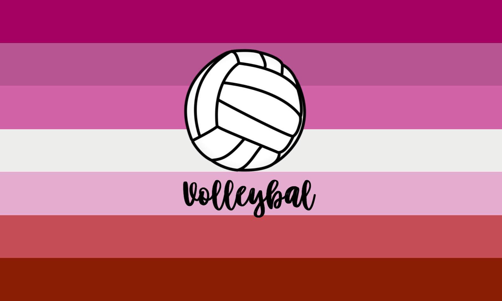 Volleyball With Lesbian Flag Wallpaper