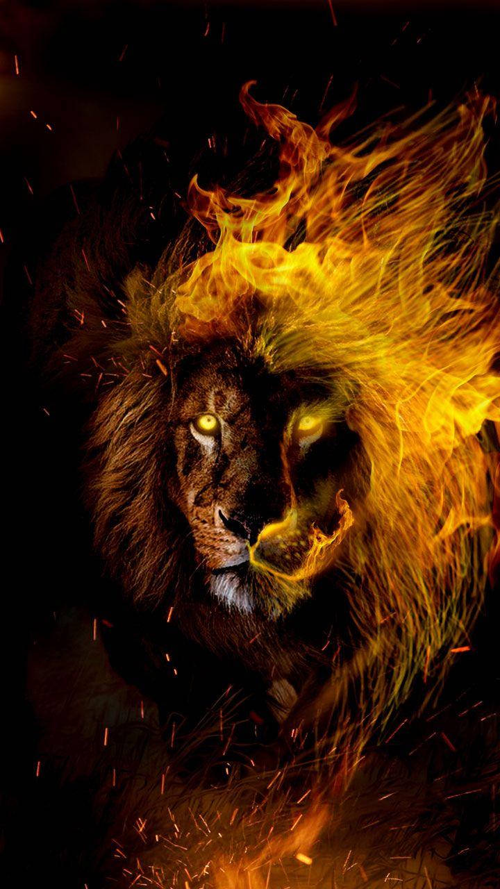 Walking Lion With Flames On Mane Wallpaper