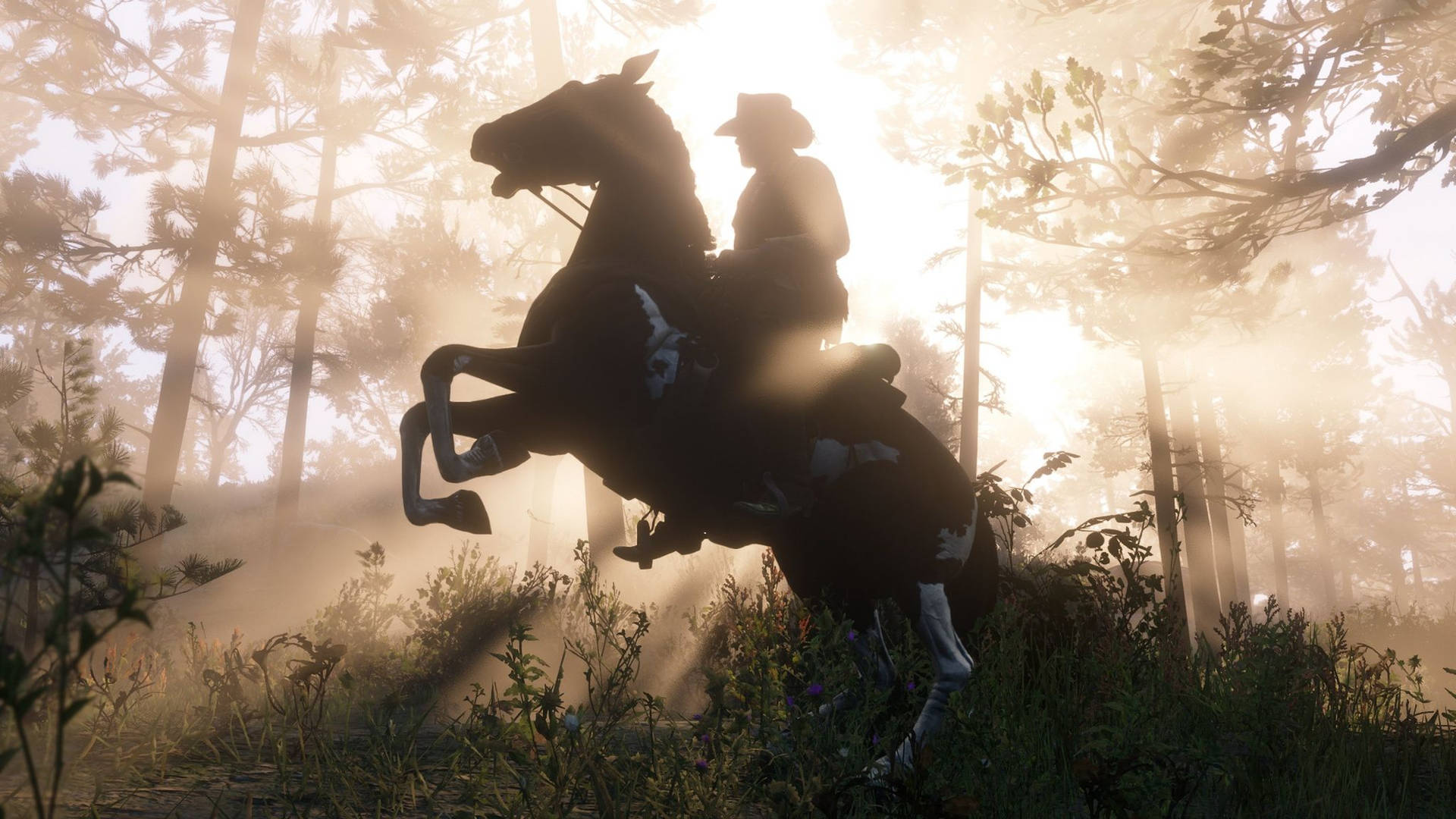 Video Game Red Dead Redemption HD Wallpaper