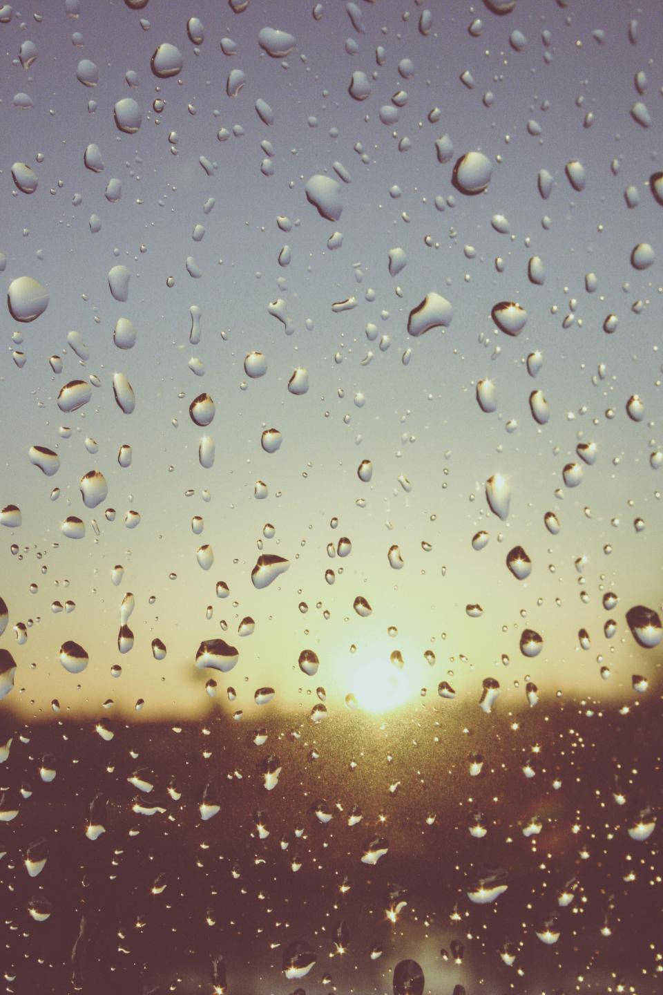 Water Droplets And Sunset Wallpaper