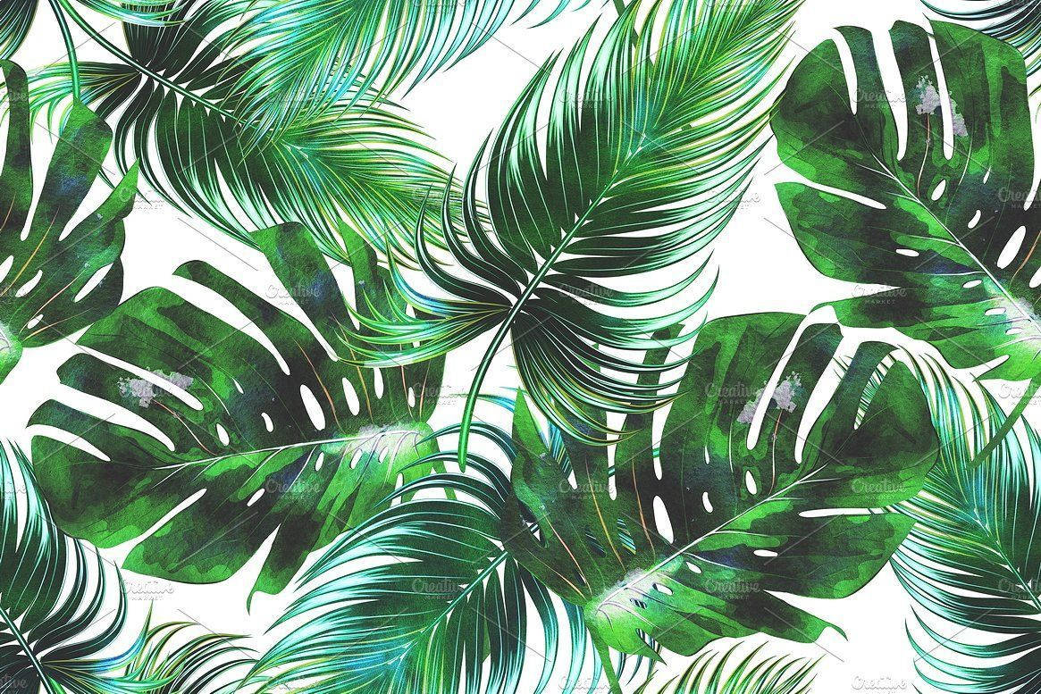 Watercolor Tropical Leaf Wallpaper - At Wallpaper