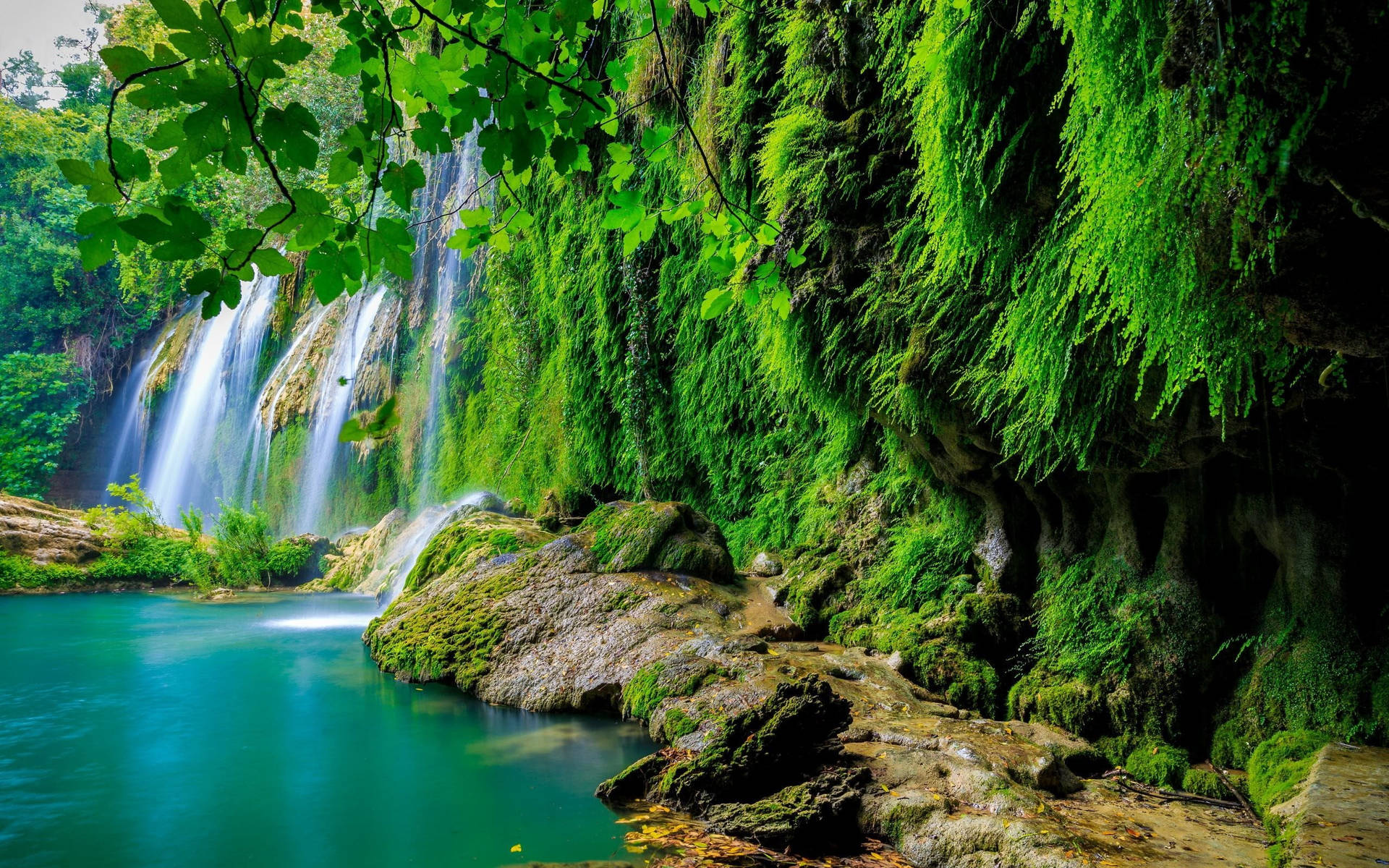 Waterfalls In A Rainforest Tropical Desktop Wallpaper