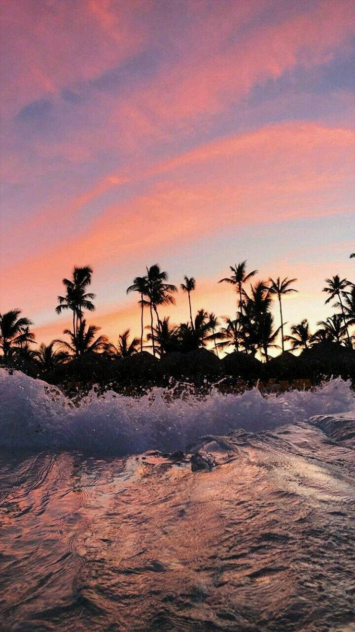 Waves And Palm Trees Malibu Iphone Wallpaper