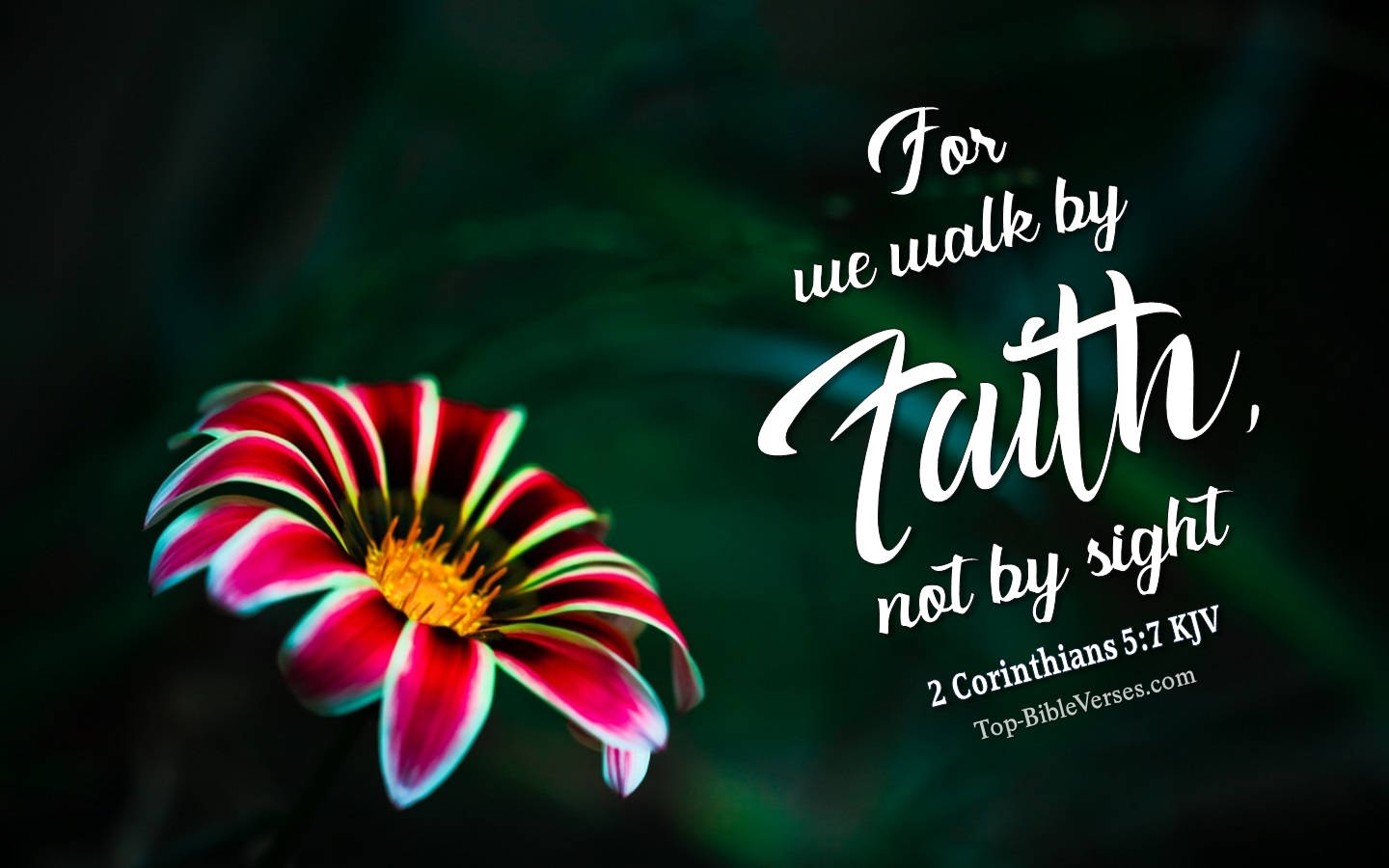 We Walk By Faith Versed Wallpaper