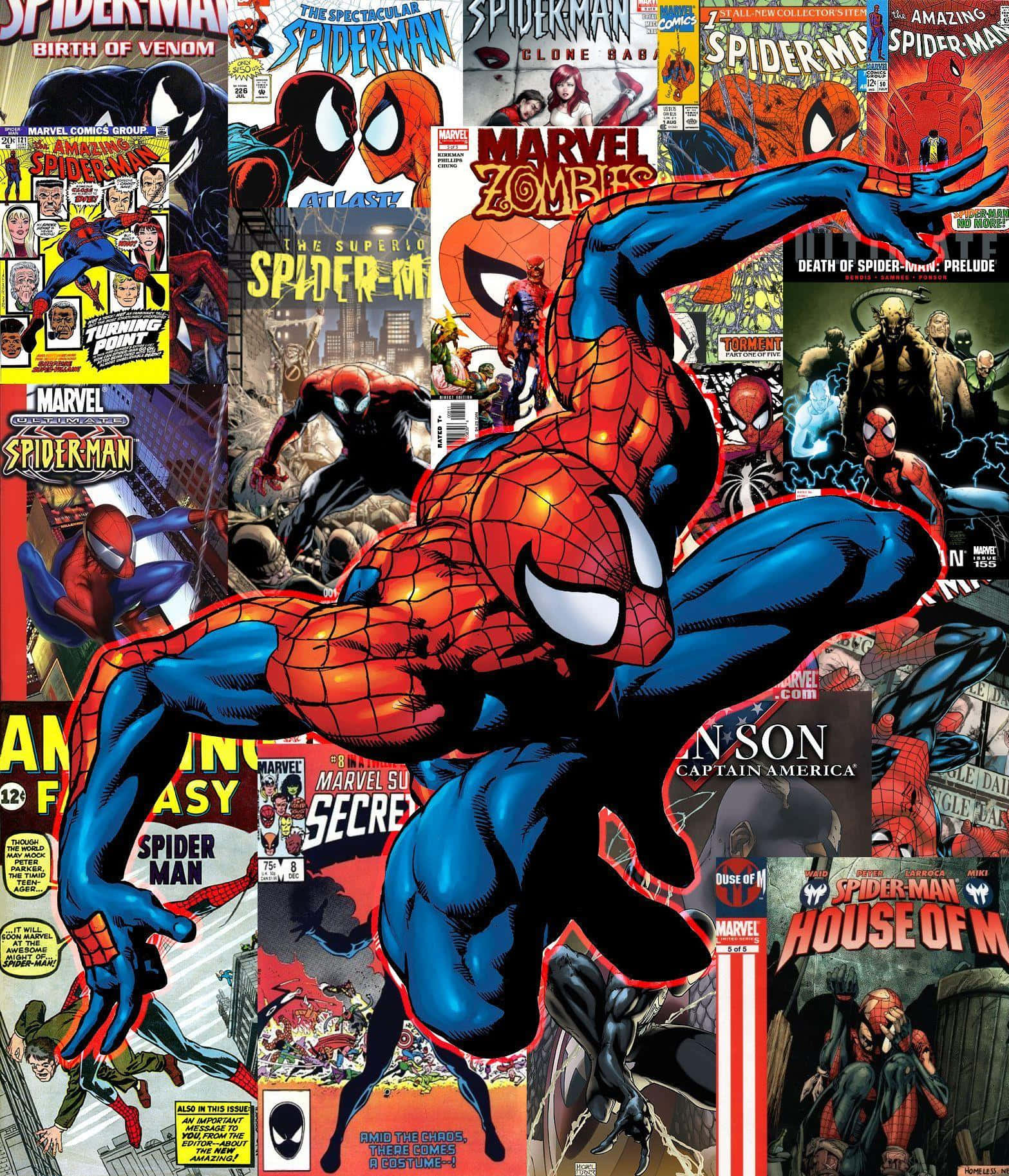 Web Of Spider-man Wallpaper