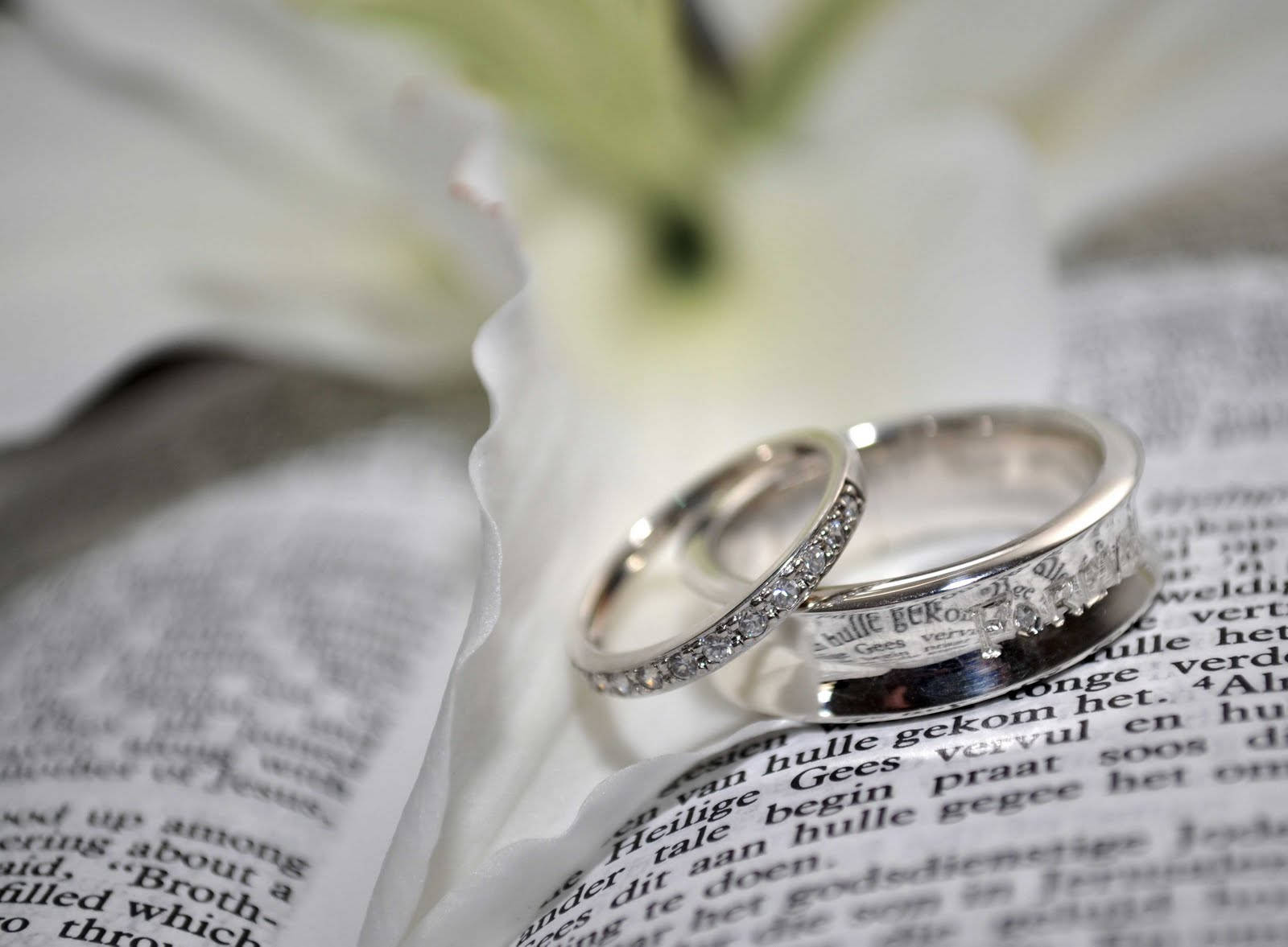 Wedding Rings And Book Wallpaper