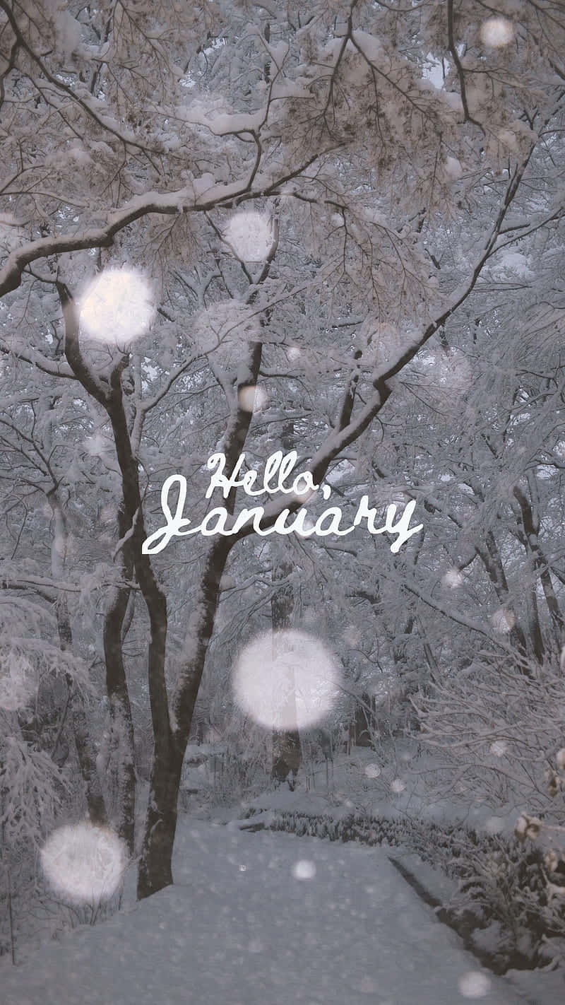 Welcome The New Year With Hello January Wallpaper
