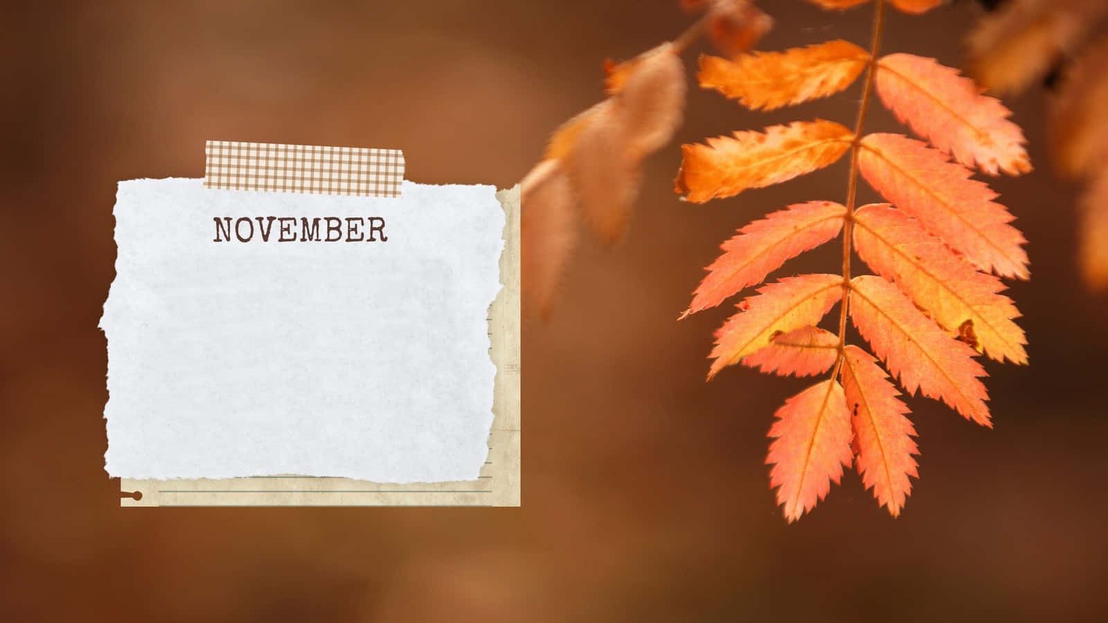 Welcome To Aesthetic November! Wallpaper