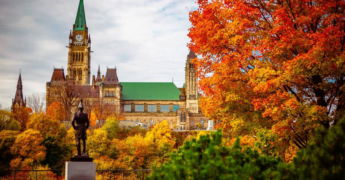 Western Red Cedar Trees In Ottawa Wallpaper