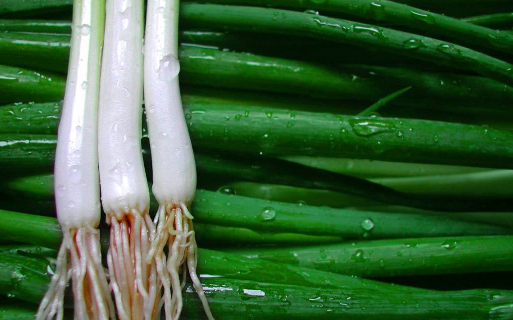 Wet Spring Onions Green Scallions Wallpaper