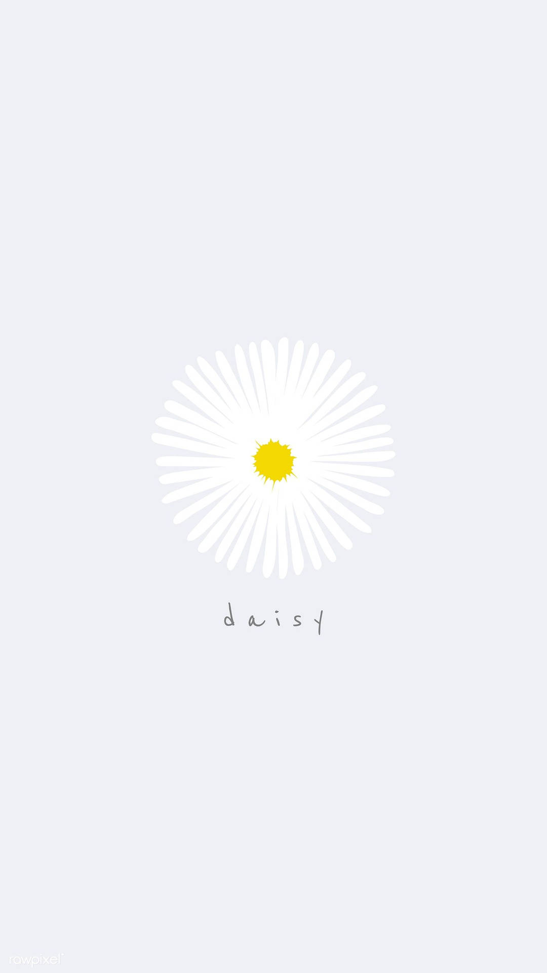 White Daisy Flower Iphone Art Wallpaper