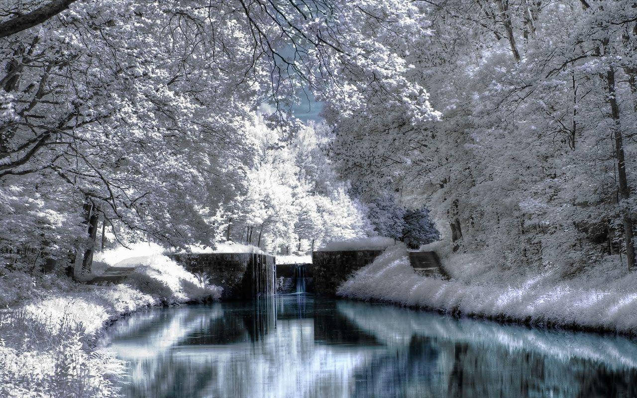 White Forest And River Winter Scenery Wallpaper