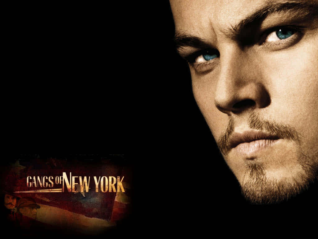 White Man Leonardo Dicaprio Actor Wallpaper