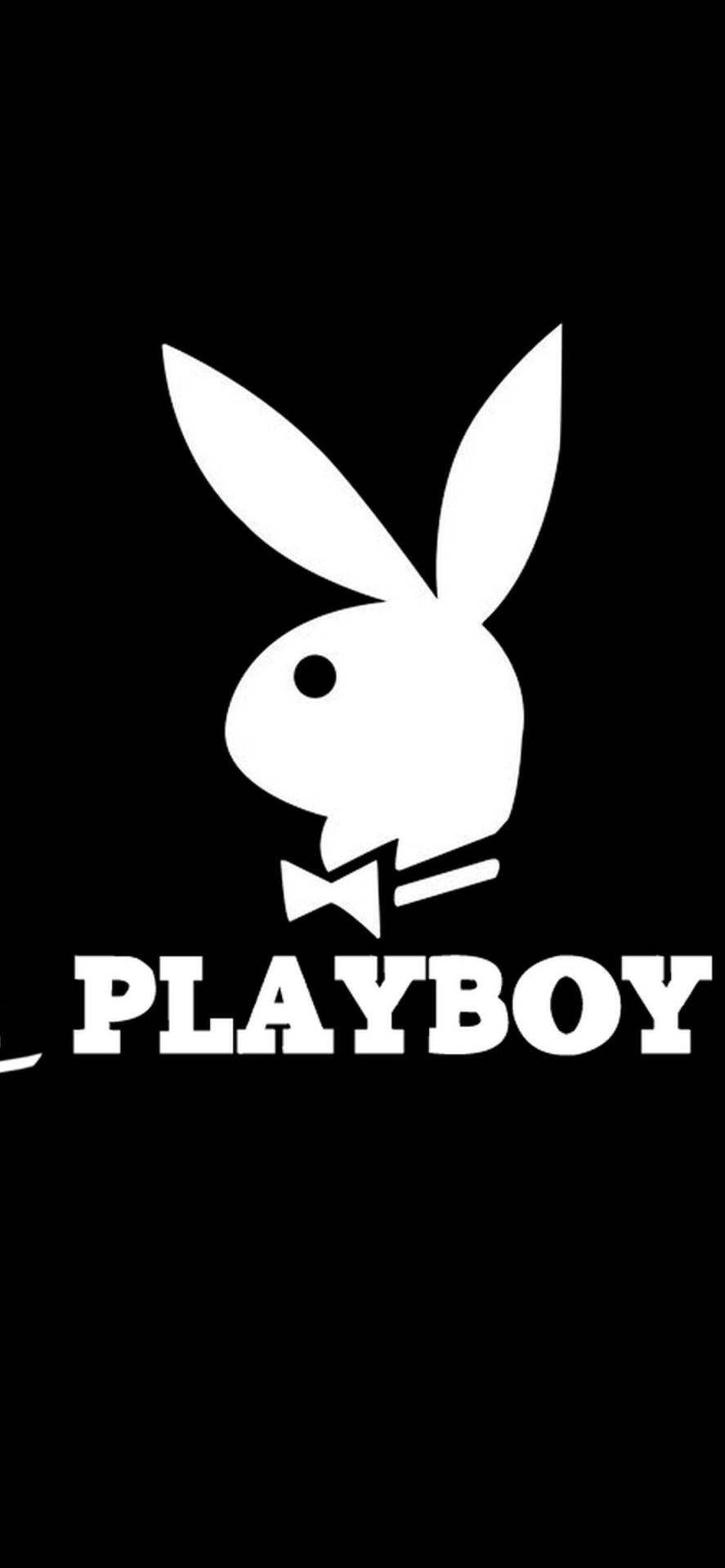 Download free White Playboy Logo Wallpaper - MrWallpaper.com