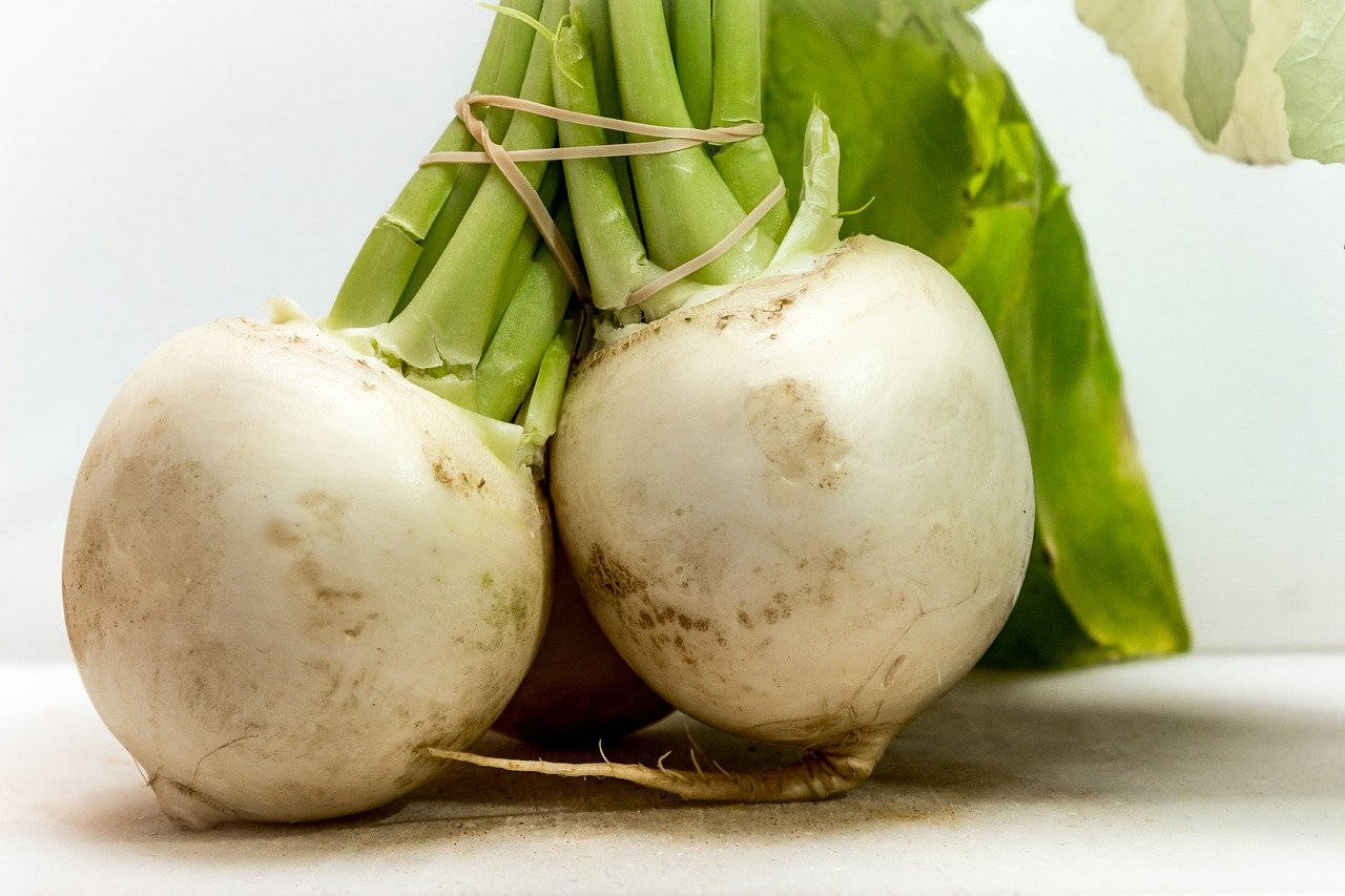 White Root Crop Turnips Wallpaper