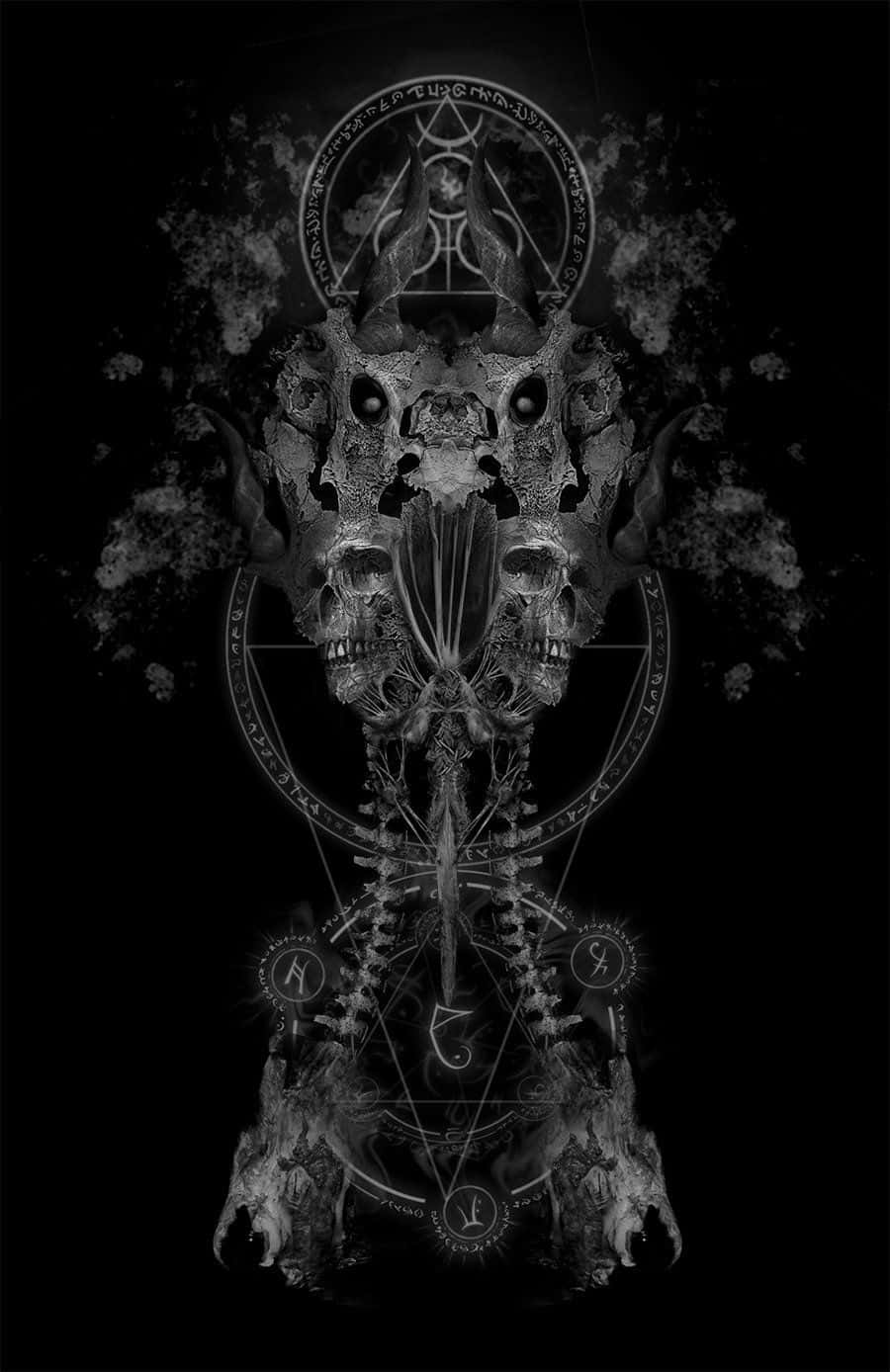 White Skull On Black Background Wallpaper