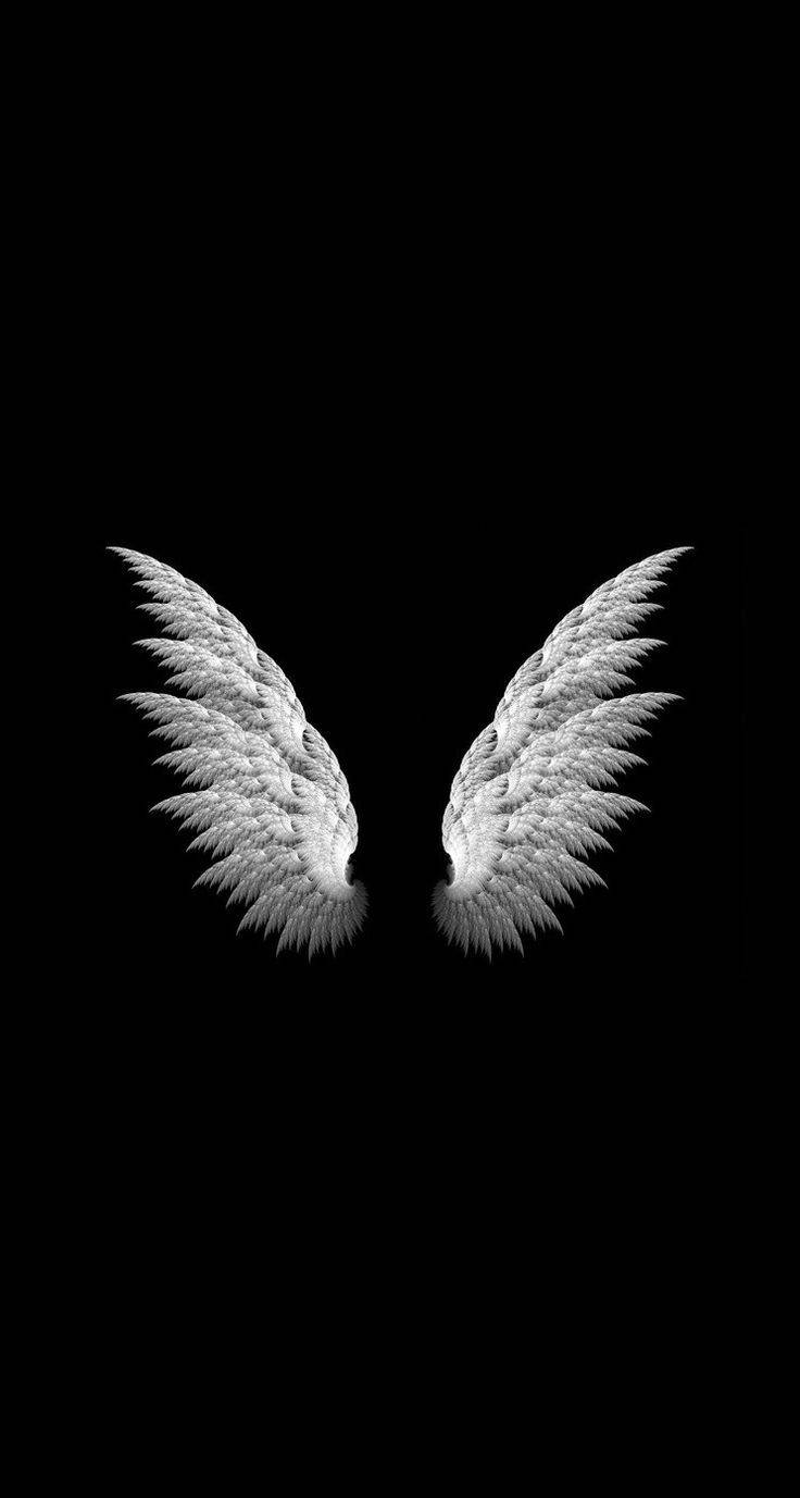White Wings In Cool Black Background Wallpaper