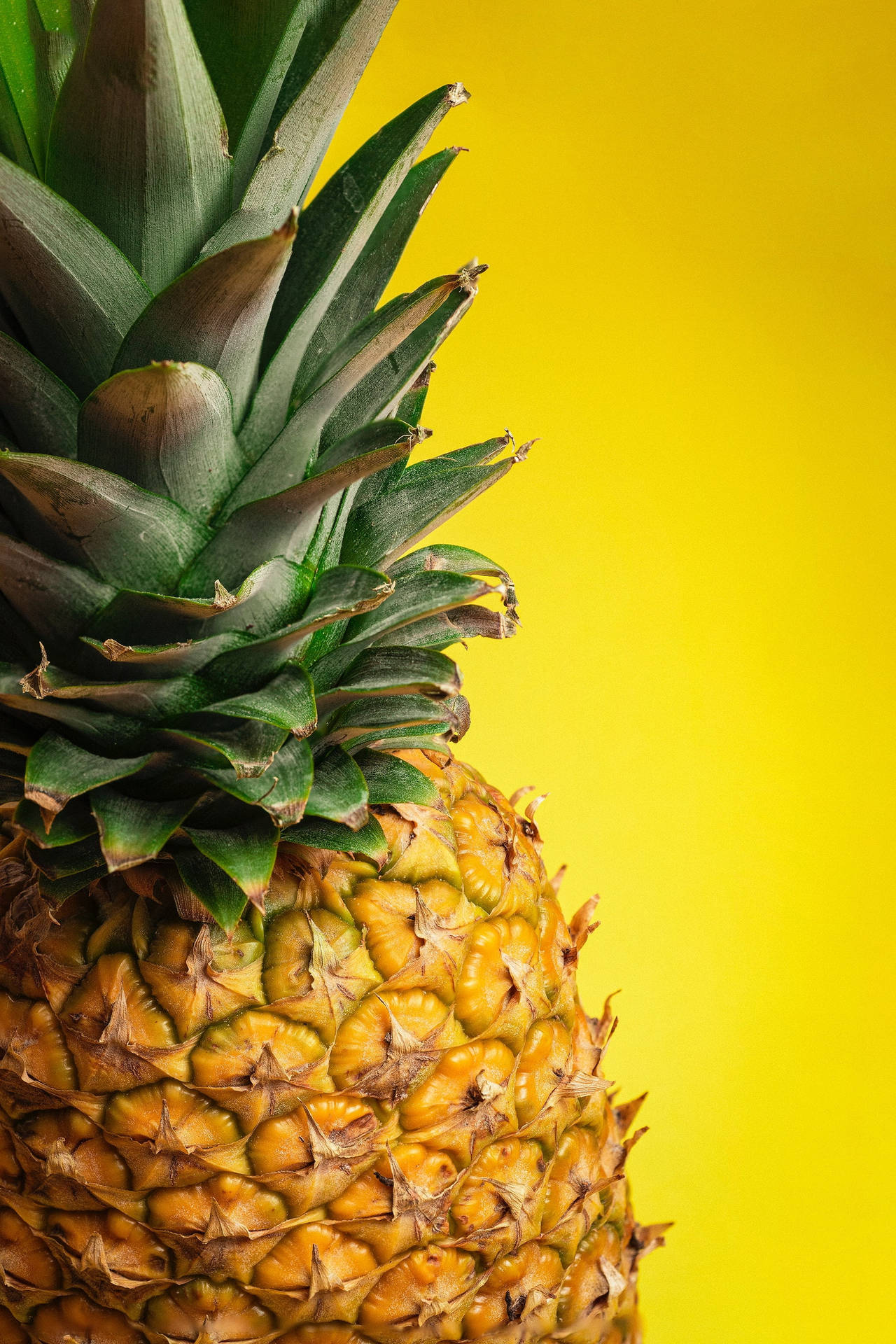 Whole Pineapple Plain Yellow Iphone Wallpaper