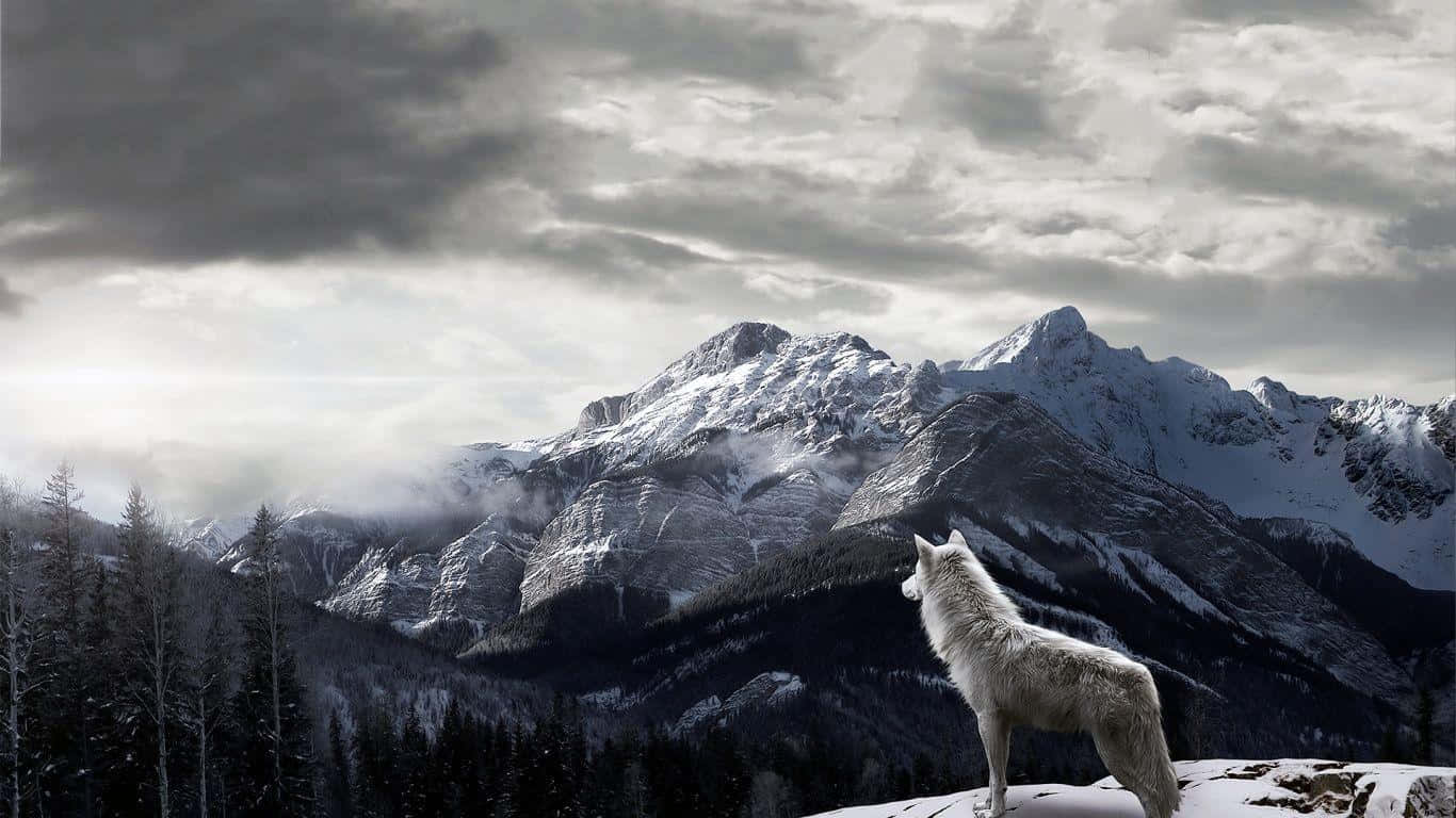 Wide Landscapes Stretching Out From A High Mountain Ridge Under A Dazzling Blue Sky Wallpaper