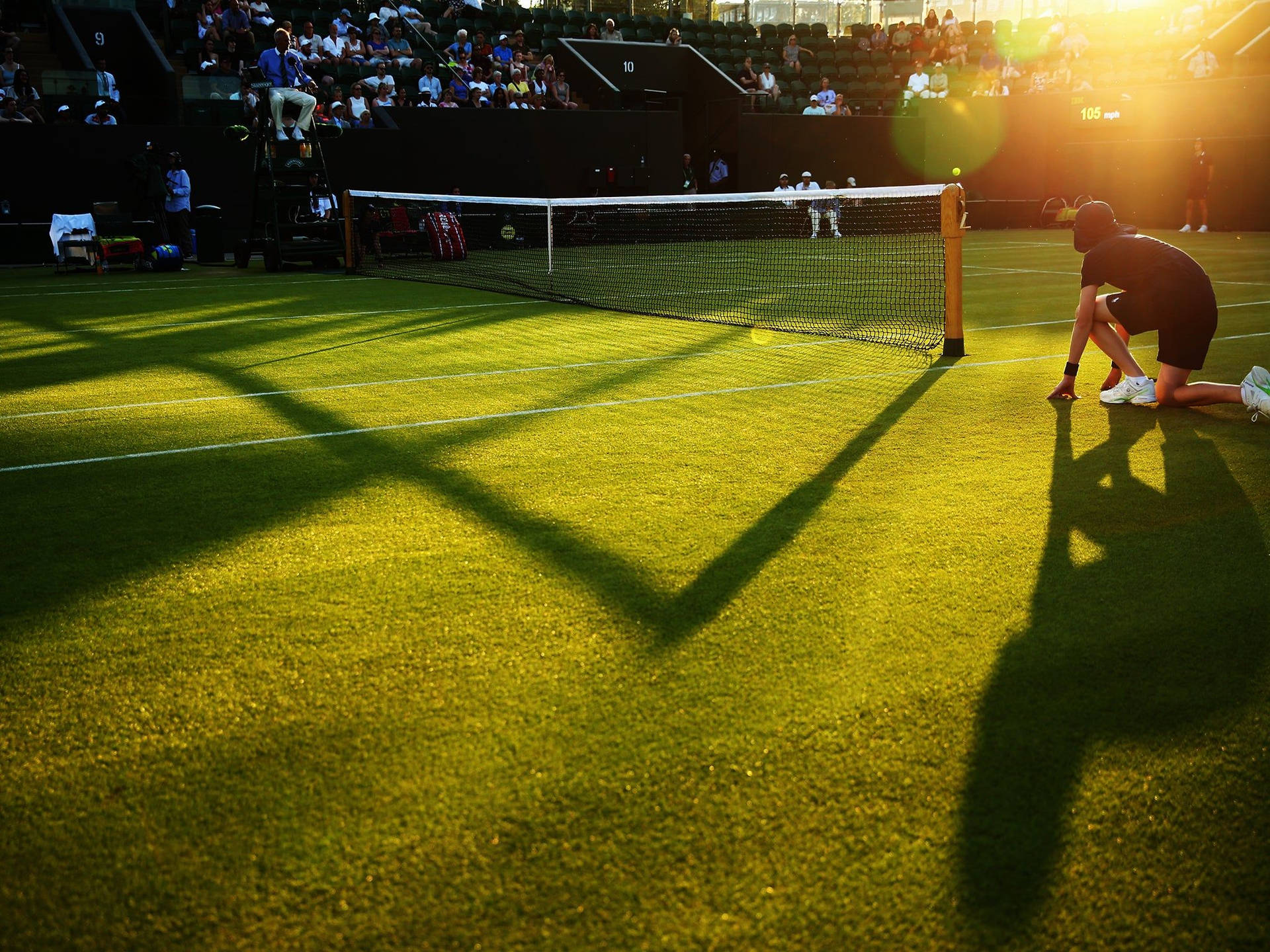 Wimbledon Championship: What is the format for the competition? | Marca